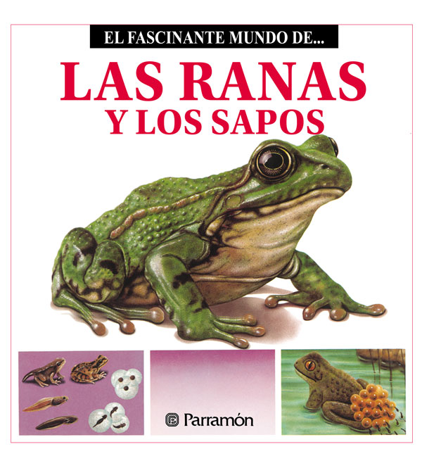 Обложка книги «Las Ranas y los Sapos»