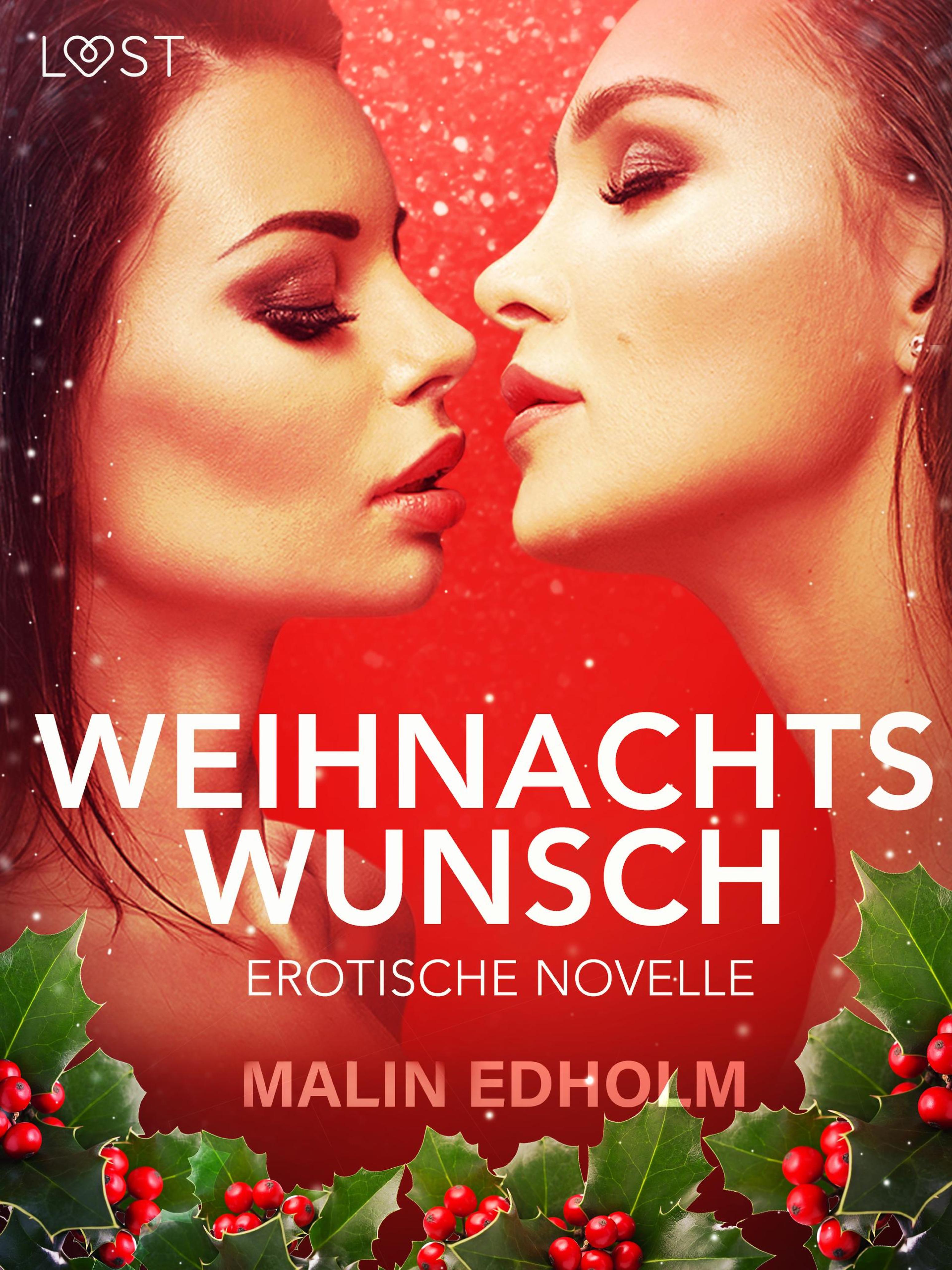 Обложка книги «Weihnachtswunsch: Erotische Novelle»