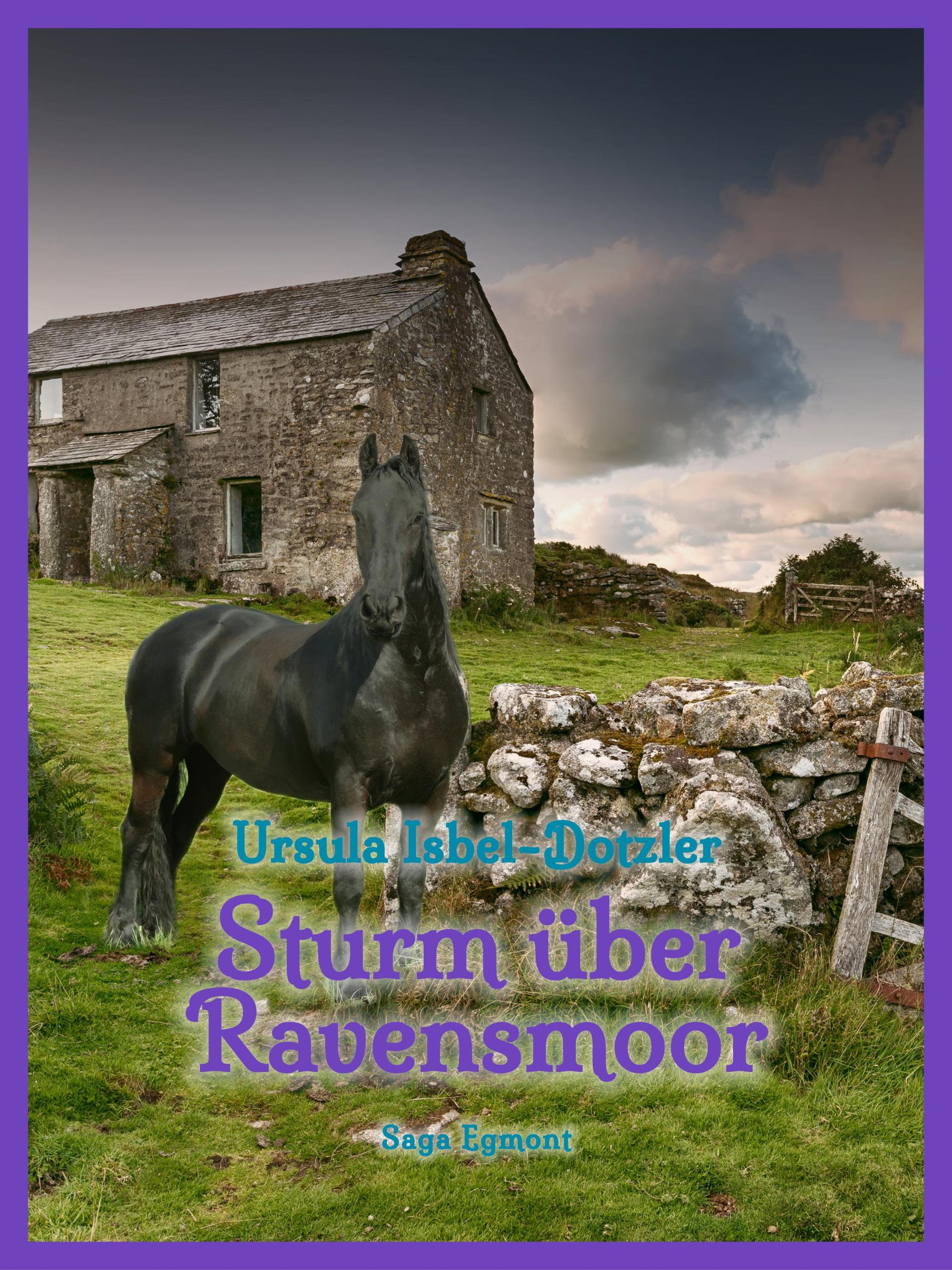 Обложка книги «Sturm über Ravensmoor»