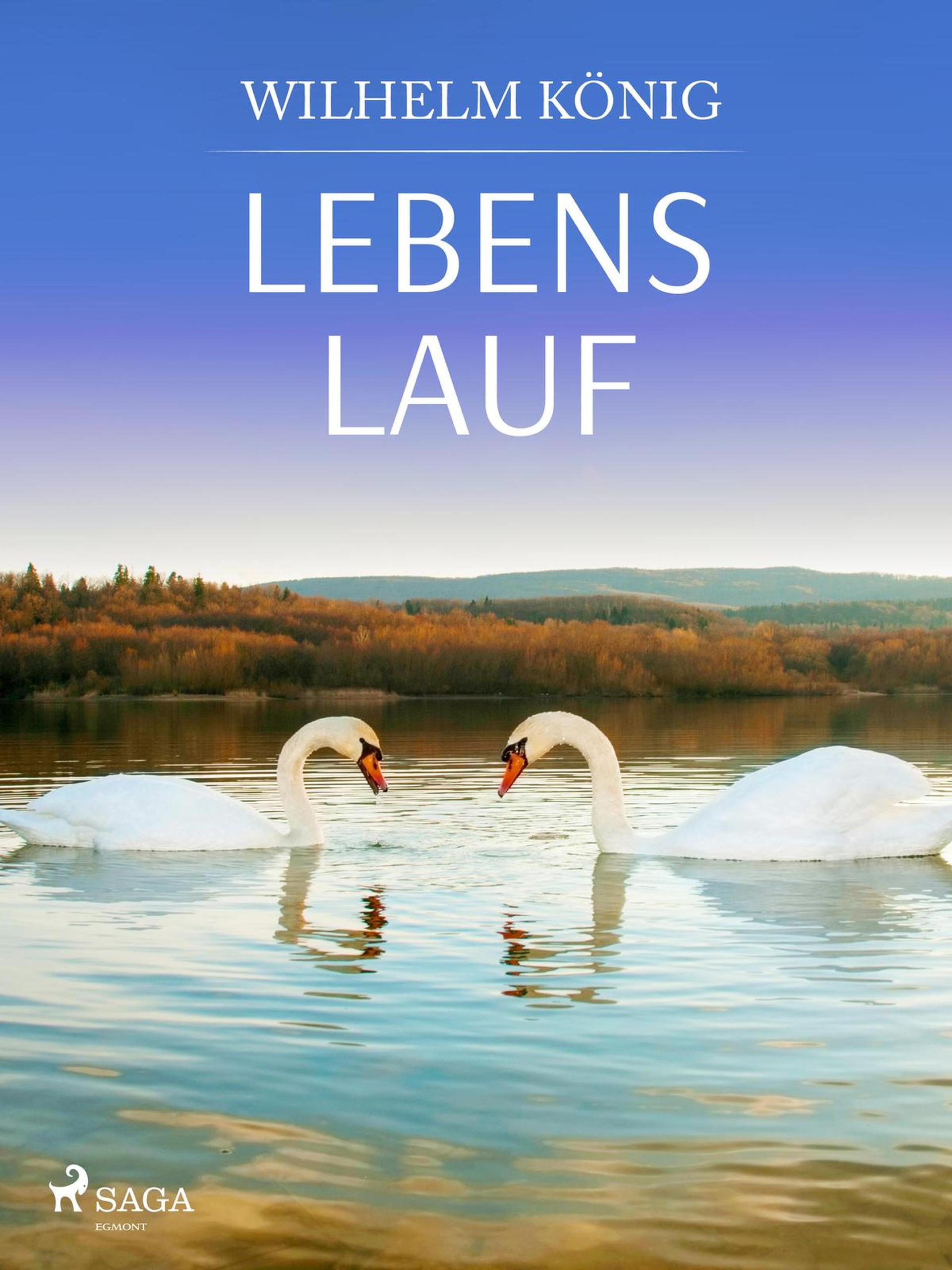 Обложка книги «Lebens lauf»