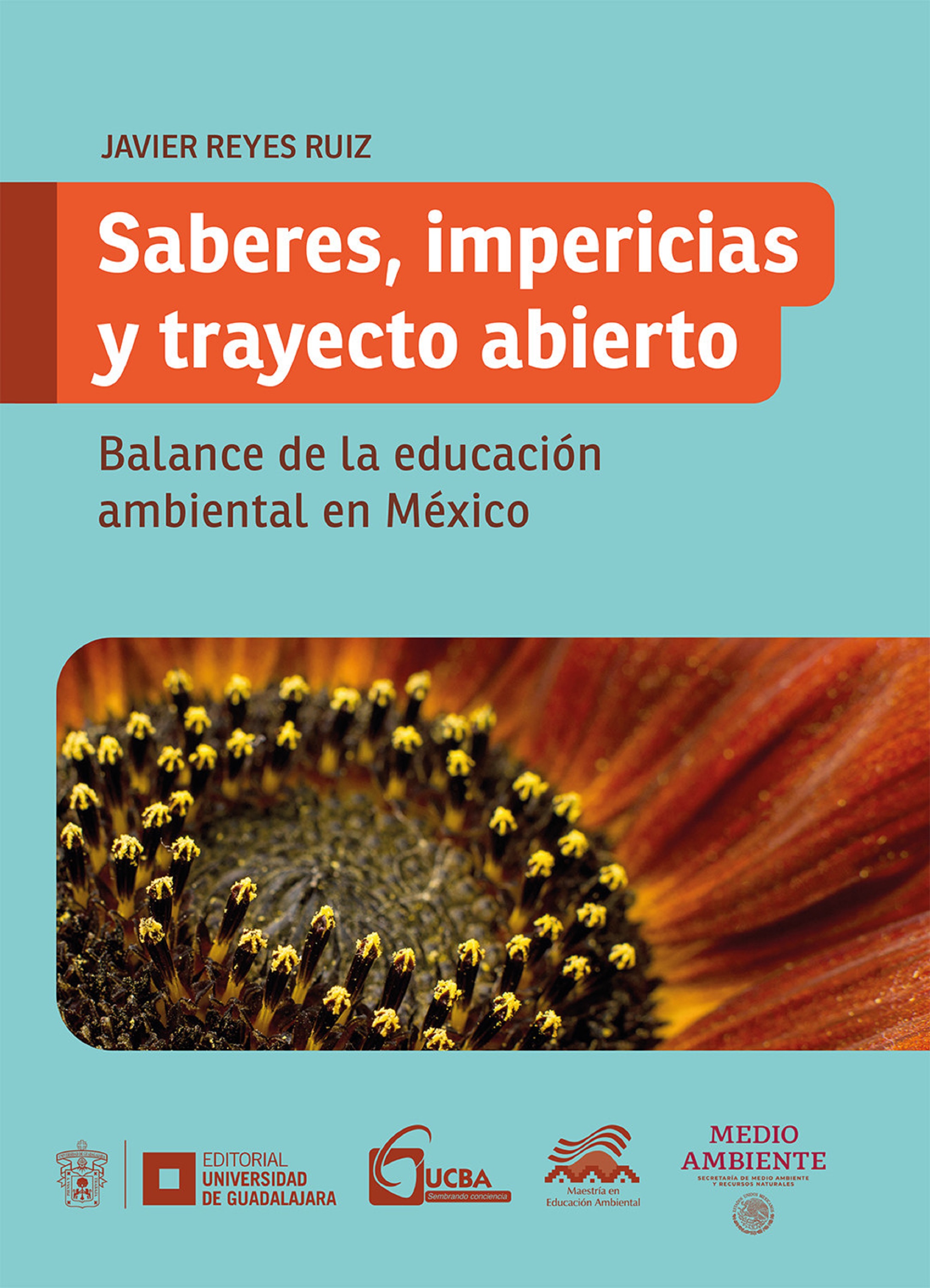 Обложка книги «Saberes, impericias y trayecto abierto»