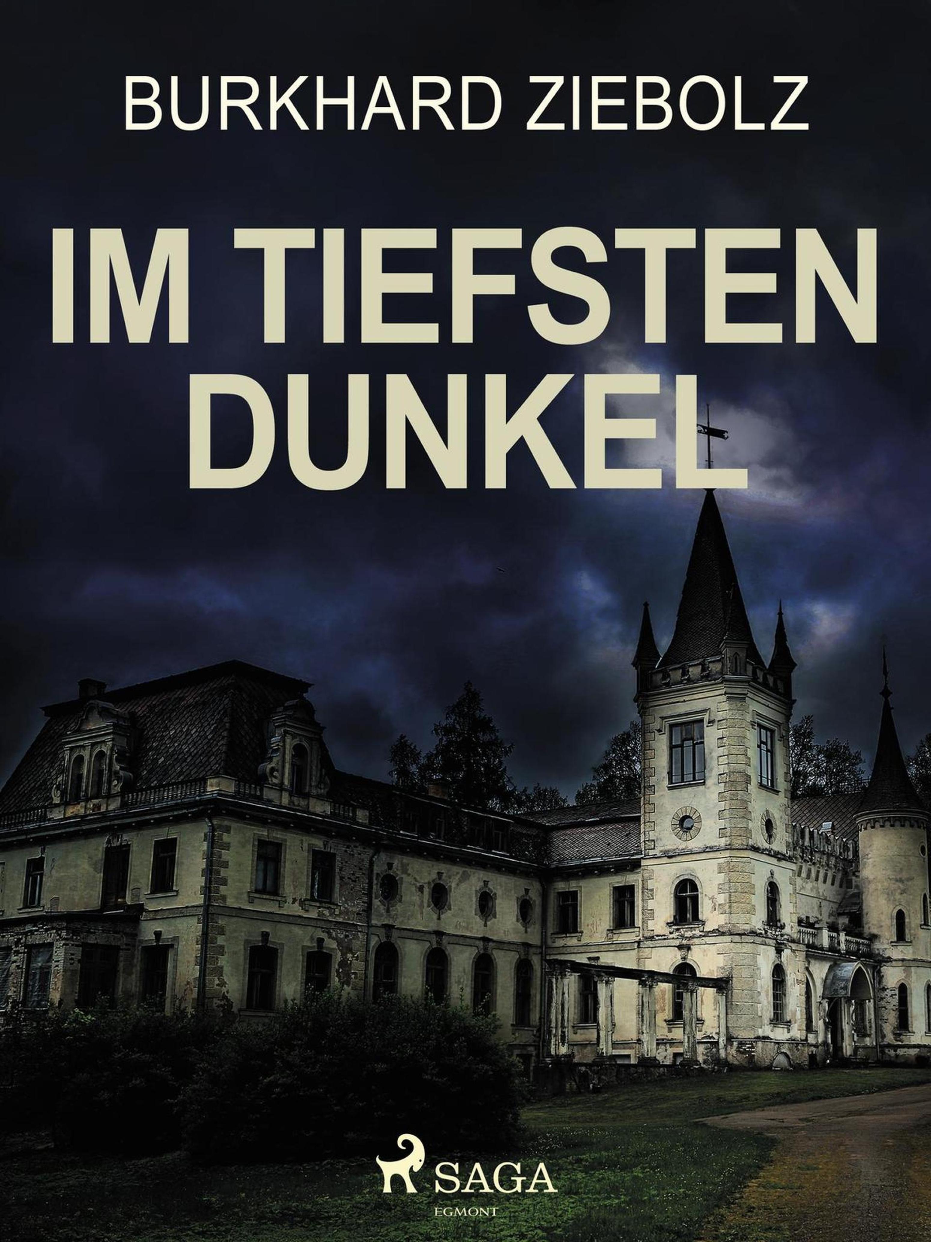 Обложка книги «Im tiefsten Dunkel - Kriminalroman»