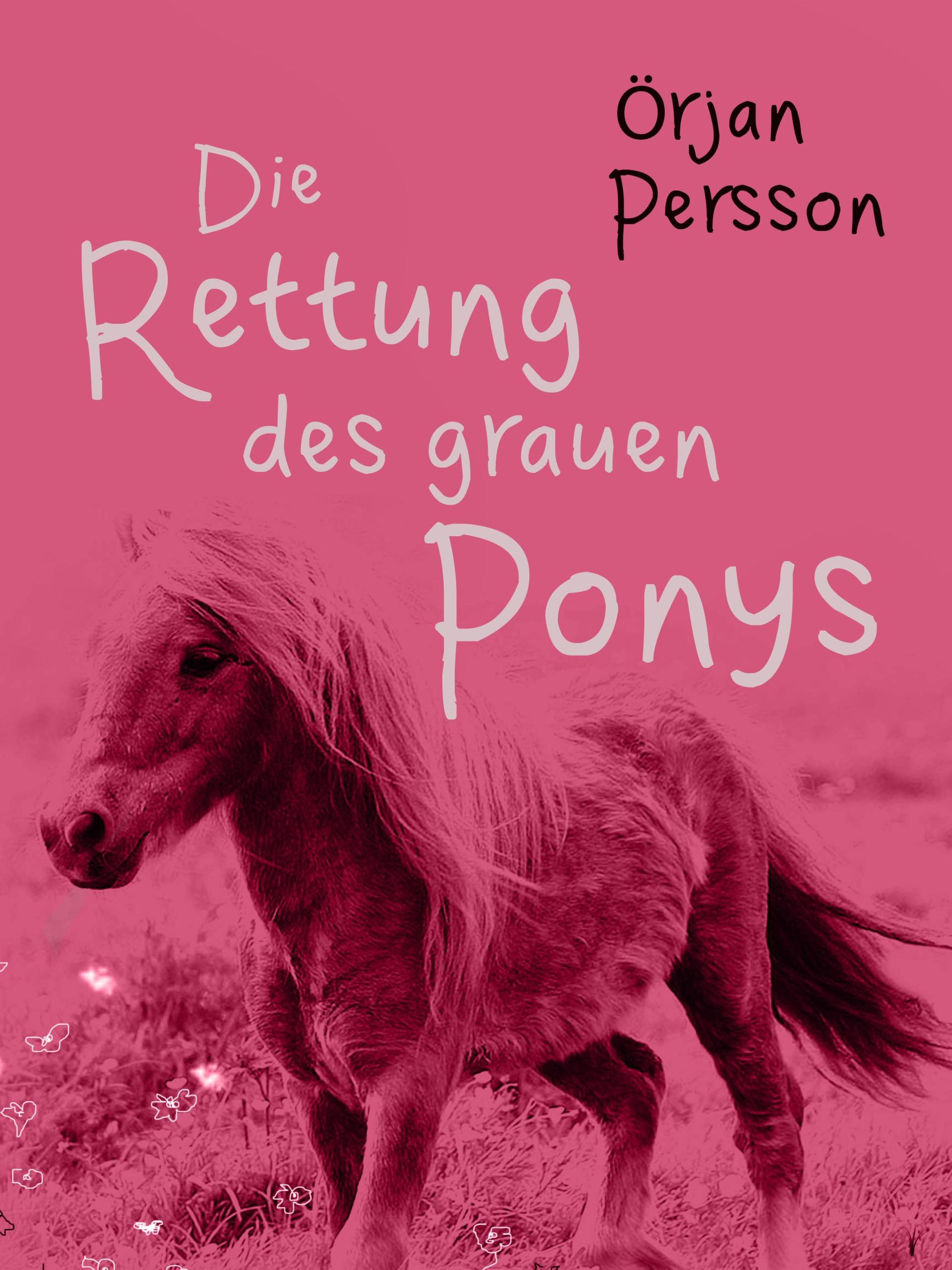 Обложка книги «Die Rettung des grauen Ponys»