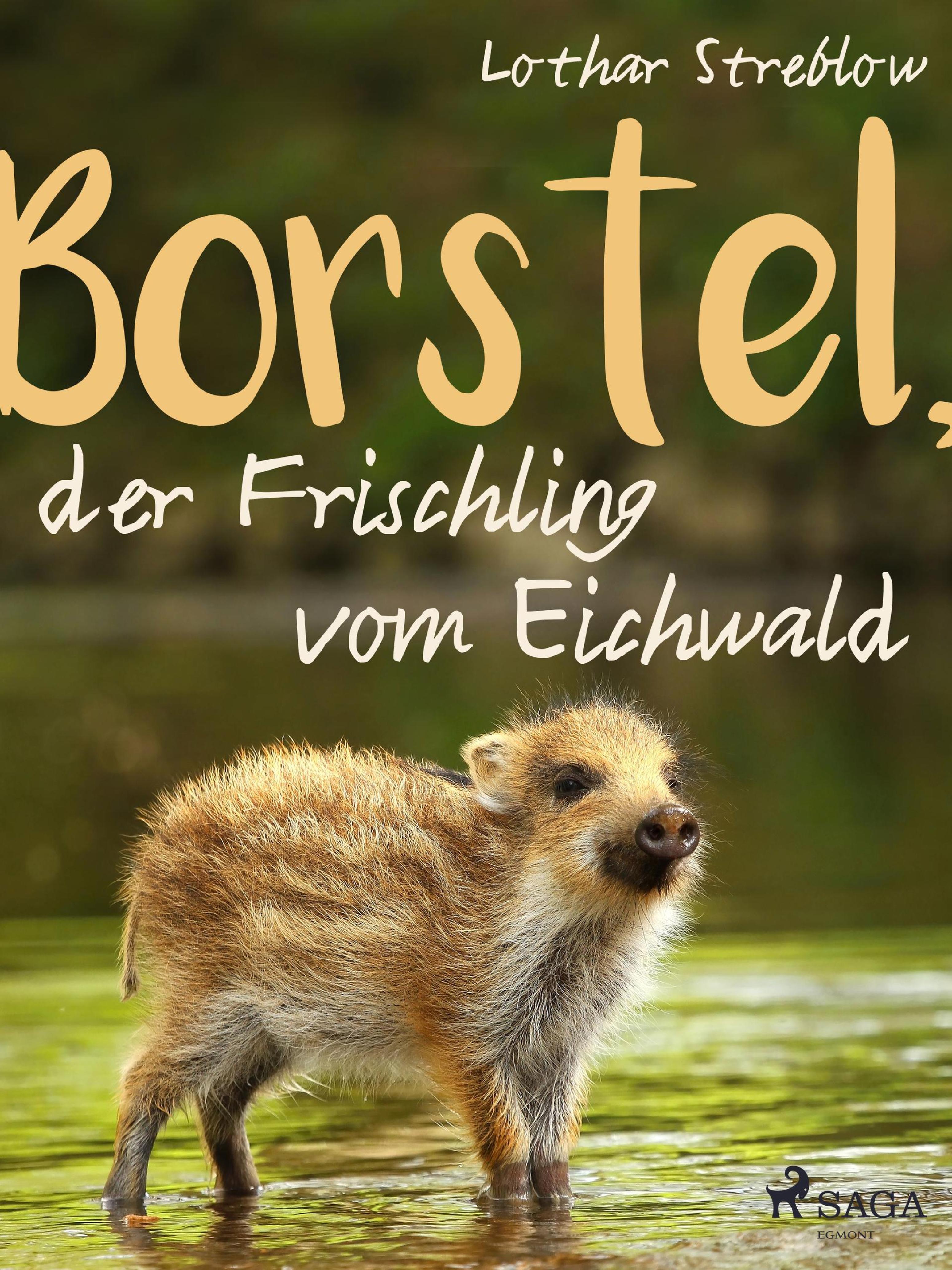 Обложка книги «Borstel, der Frischling vom Eichwald»