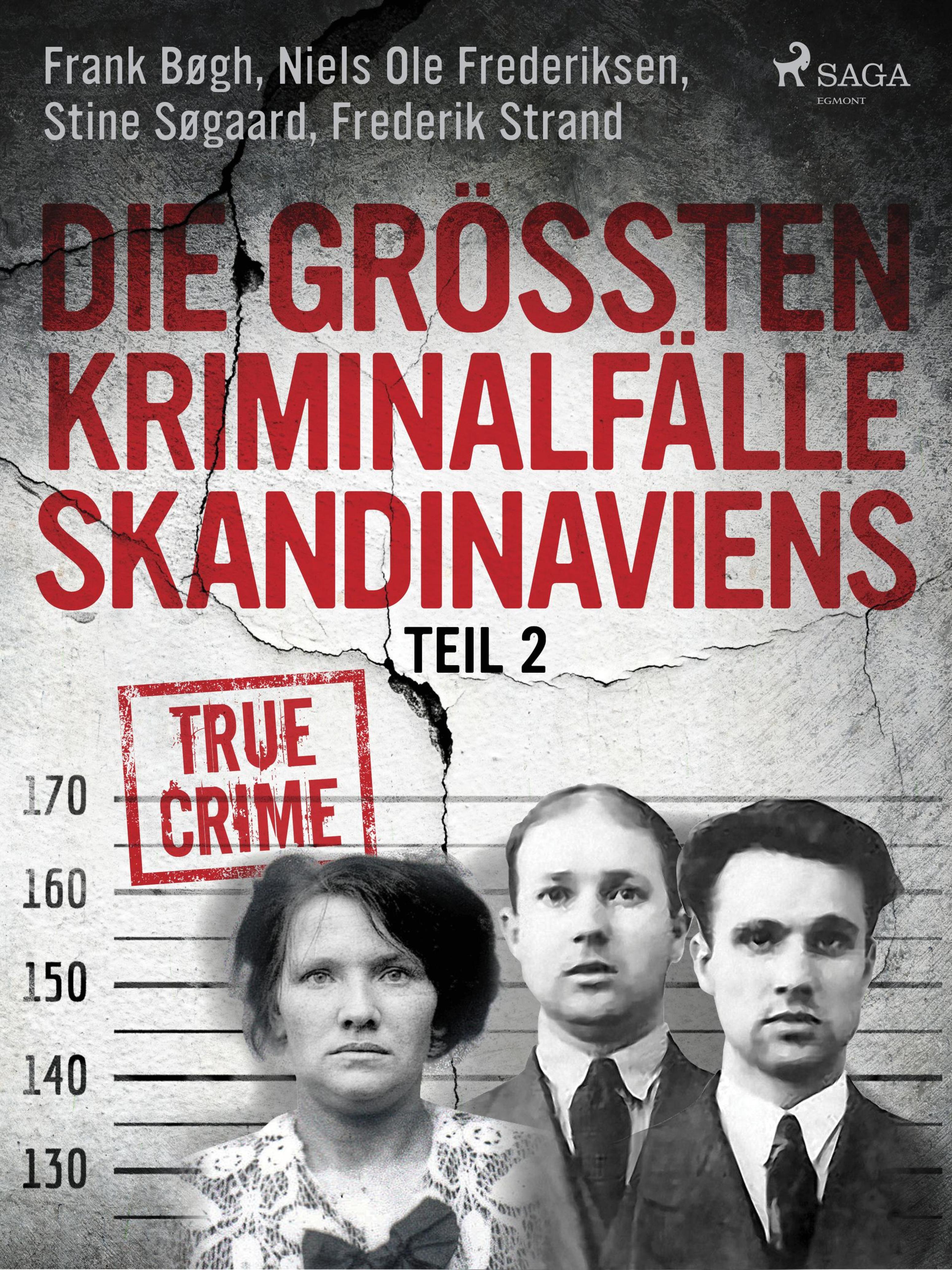 Обложка книги «Die größten Kriminalfälle Skandinaviens - Teil 2»