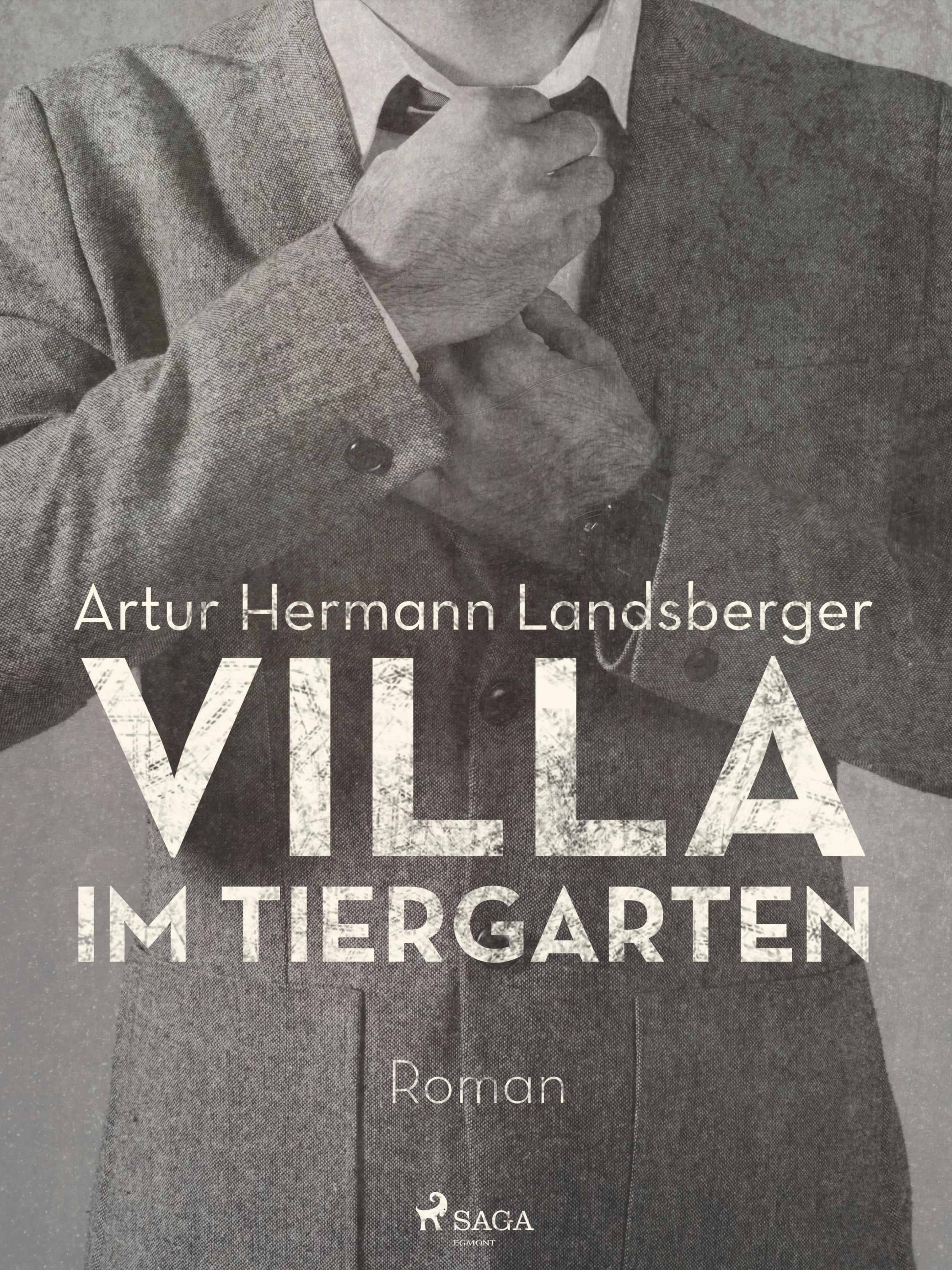 Обложка книги «Villa im Tiergarten»