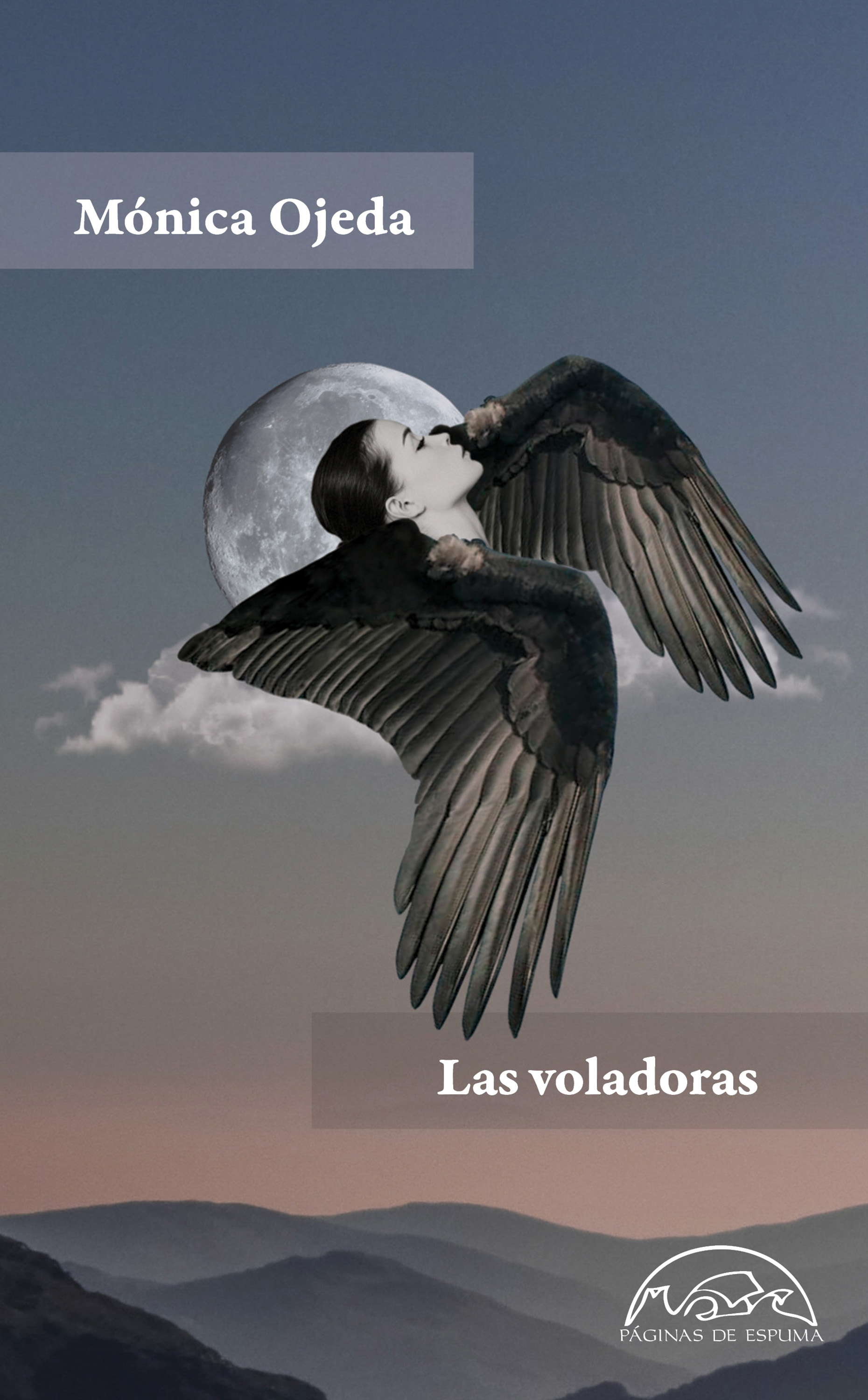 Обложка книги «Las voladoras»