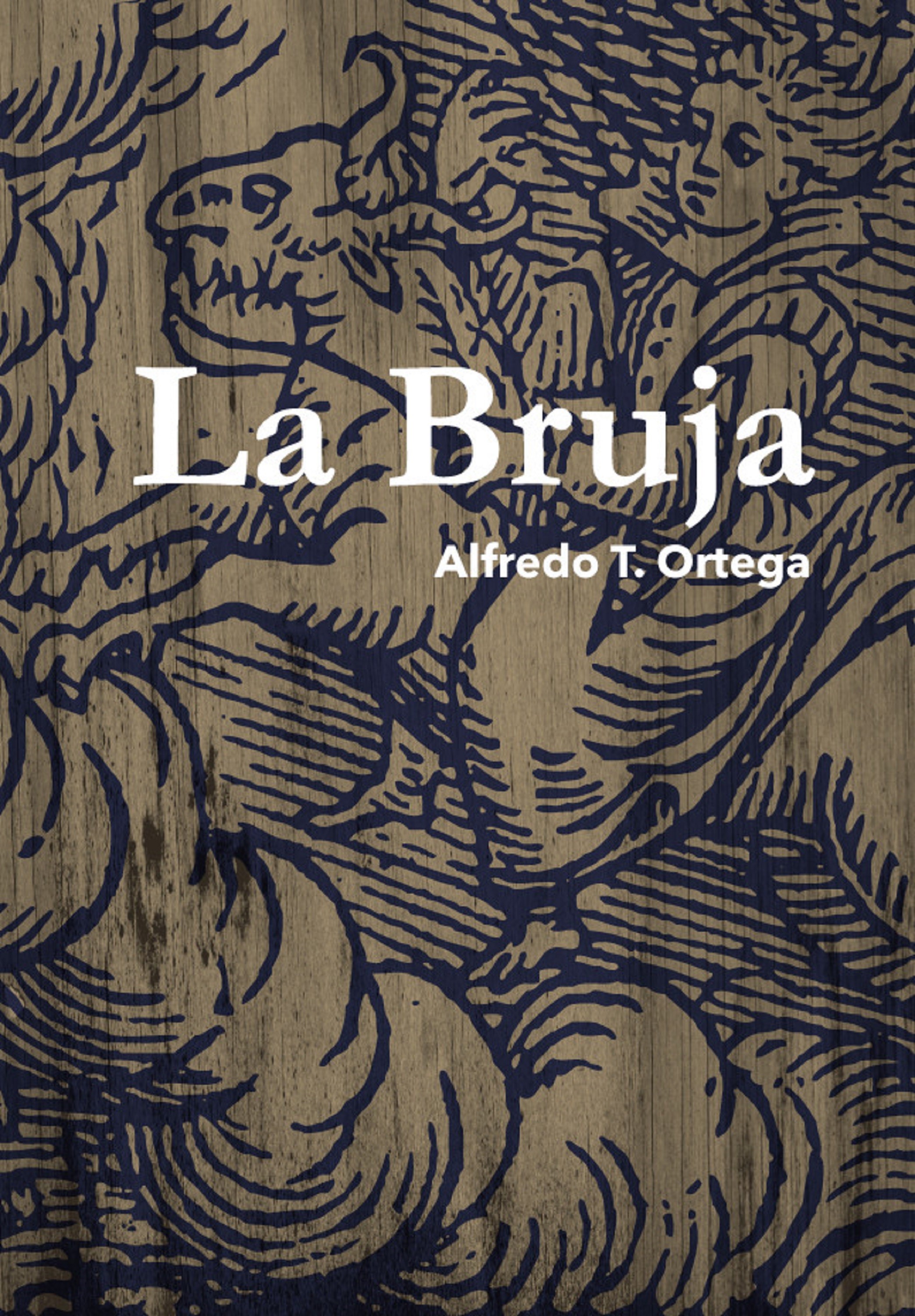 Обложка книги «La bruja»