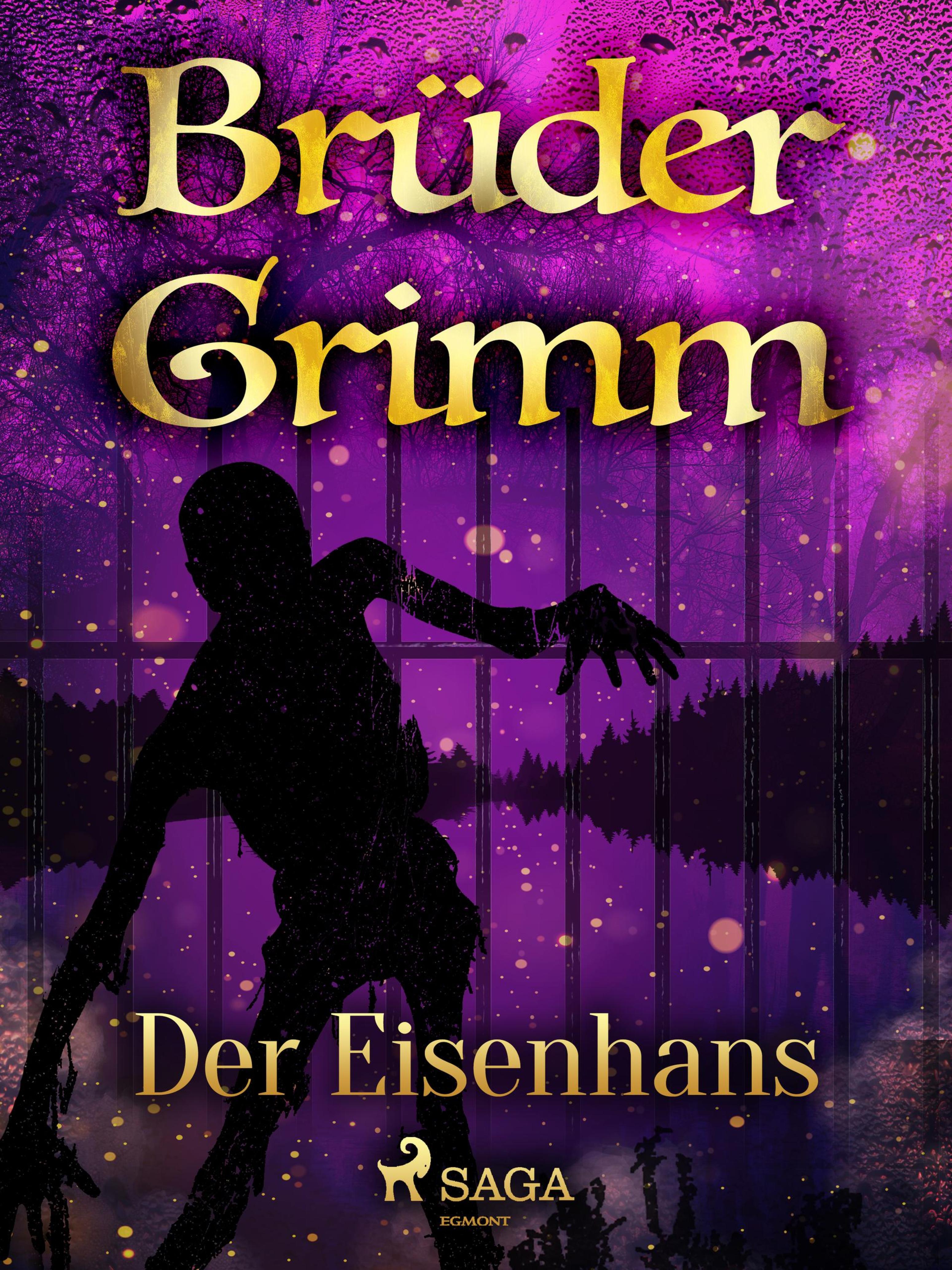 Обложка книги «Der Eisenhans»