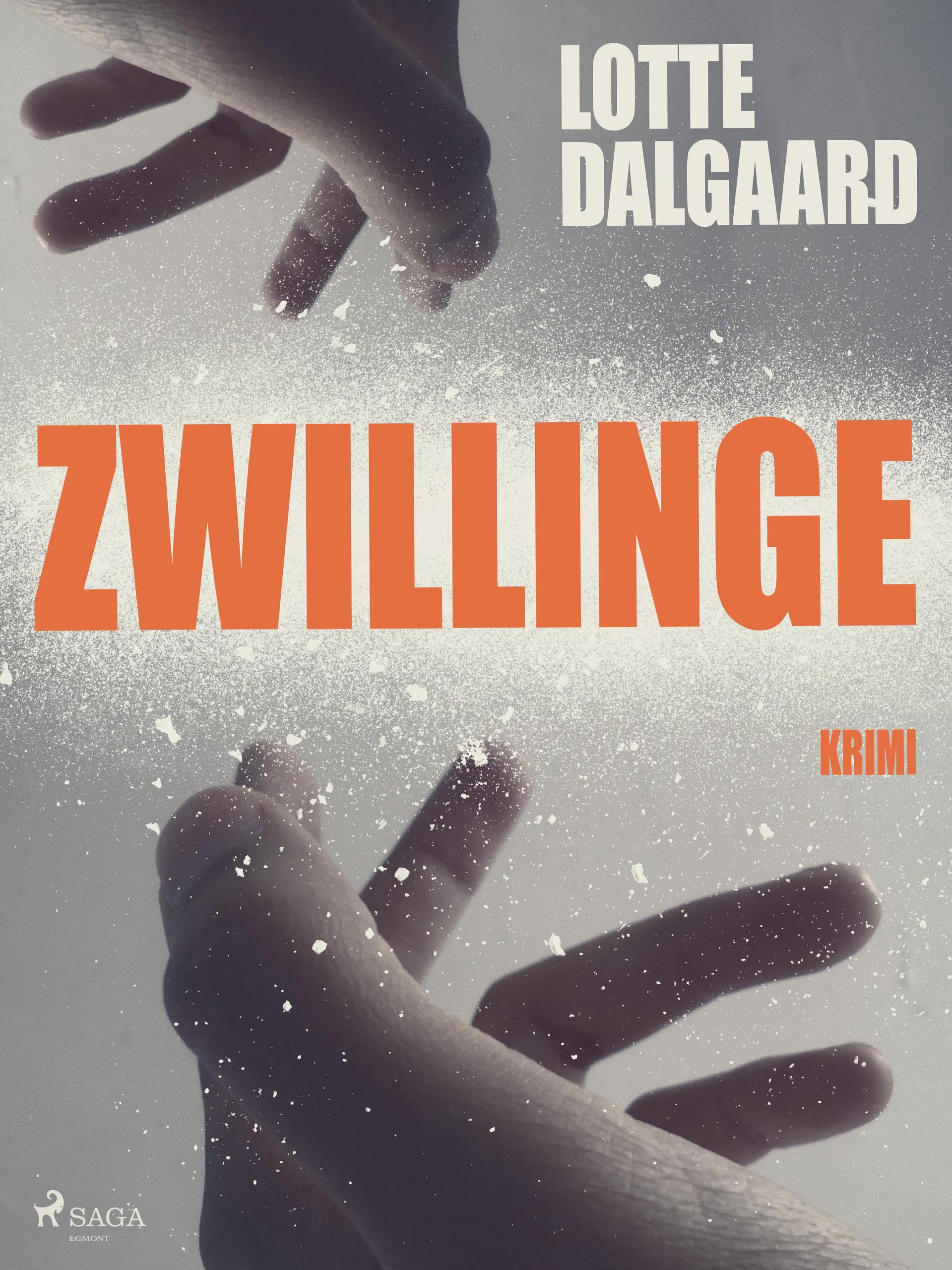 Обложка книги «Zwillinge»