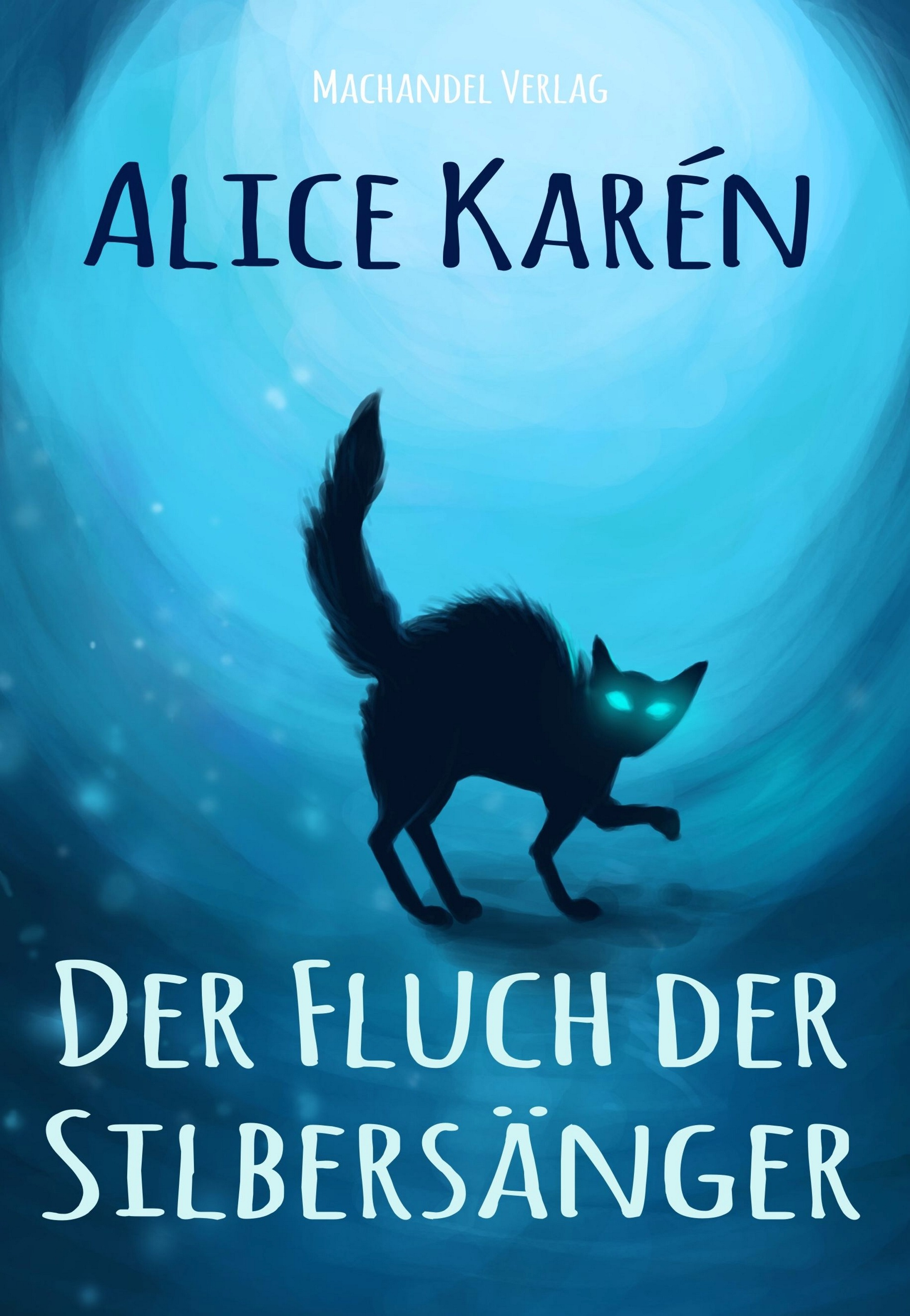 Обложка книги «Der Fluch der Silbersänger»
