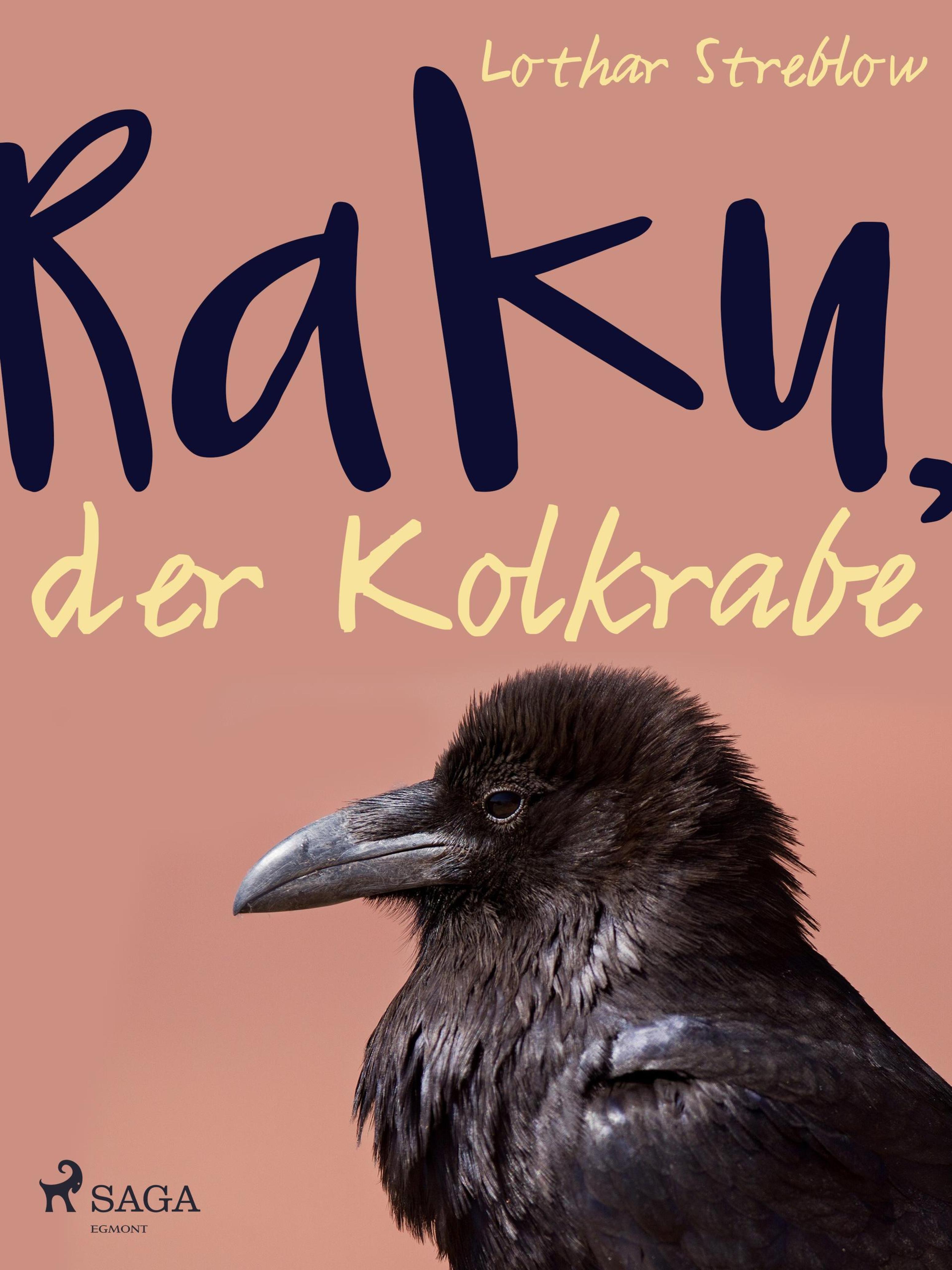 Обложка книги «Raku, der Kolkrabe»