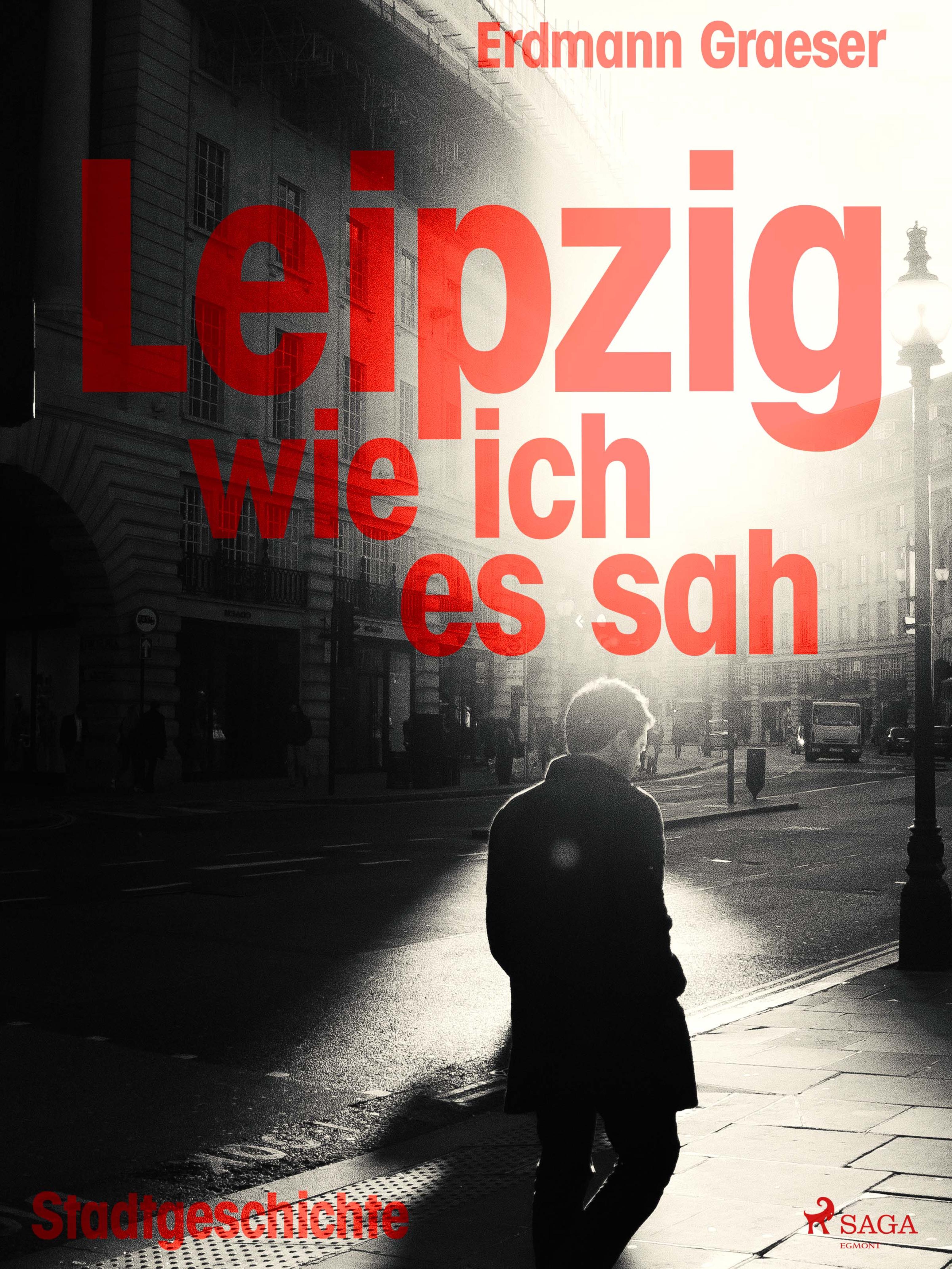 Обложка книги «Leipzig - wie ich es sah»