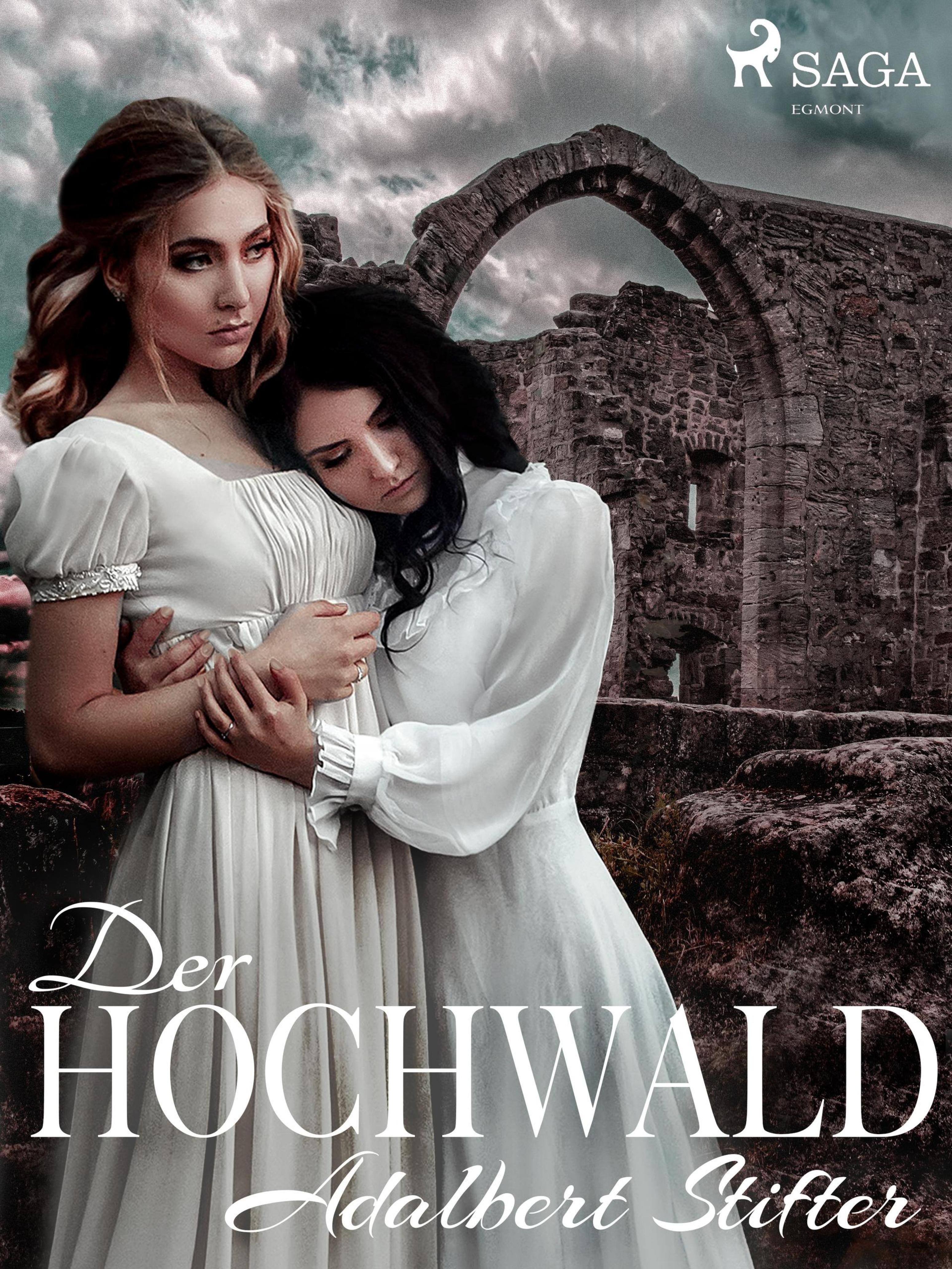 Обложка книги «Der Hochwald»