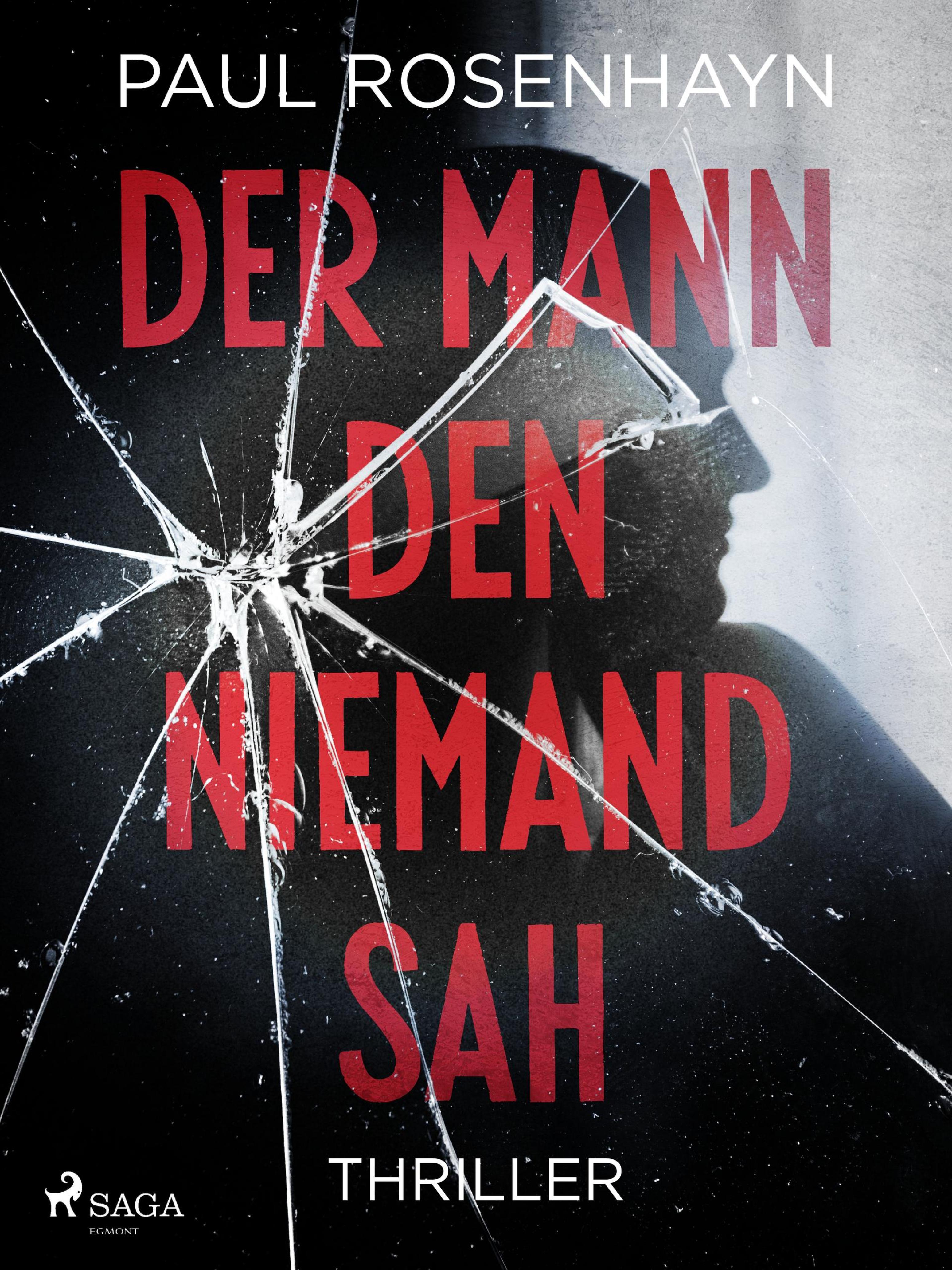 Обложка книги «Der Mann, den niemand sah - Thriller»