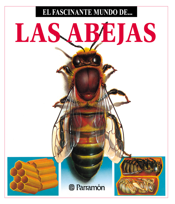 Обложка книги «Las Abejas»