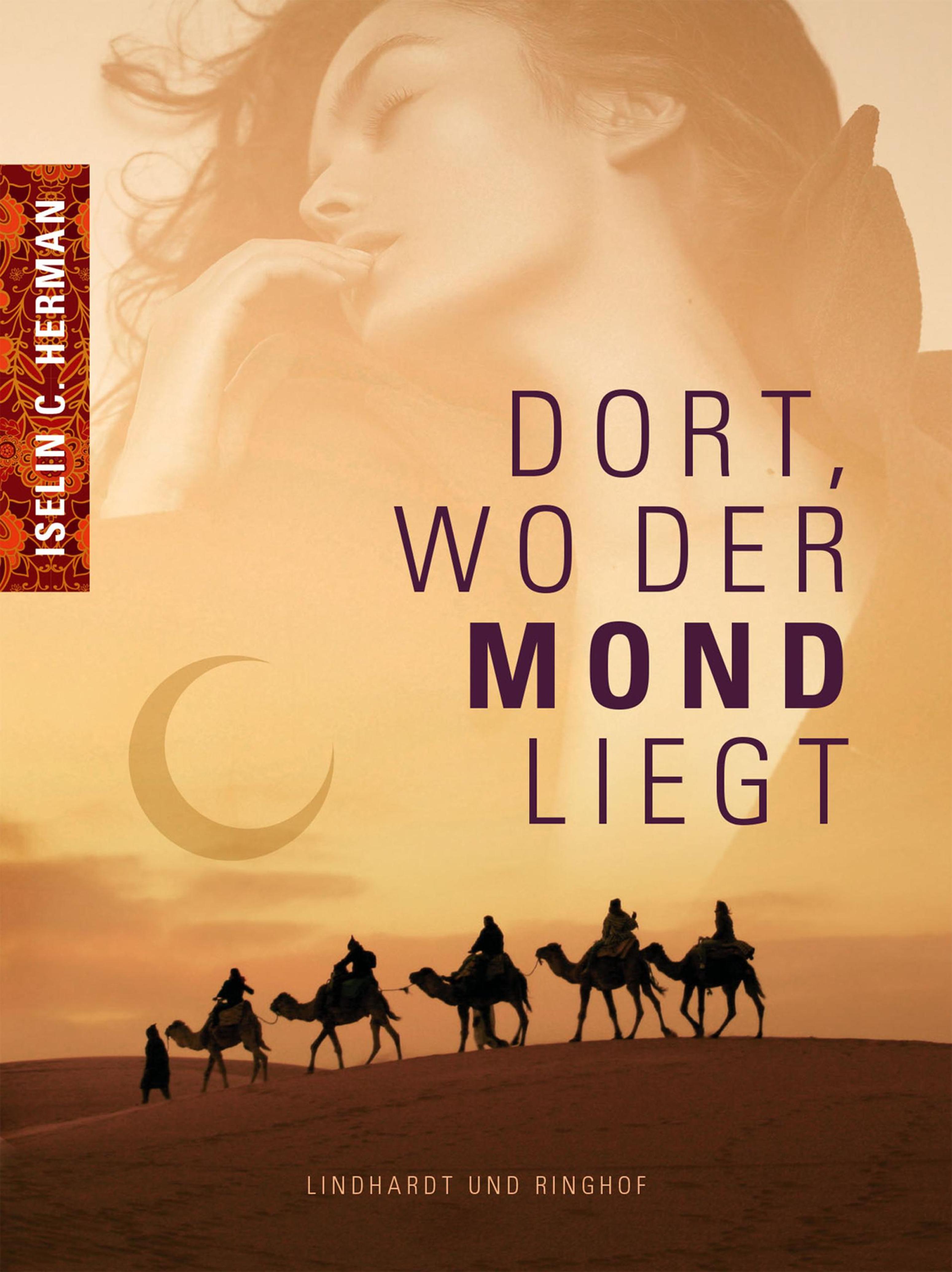 Обложка книги «Dort, wo der Mond liegt»