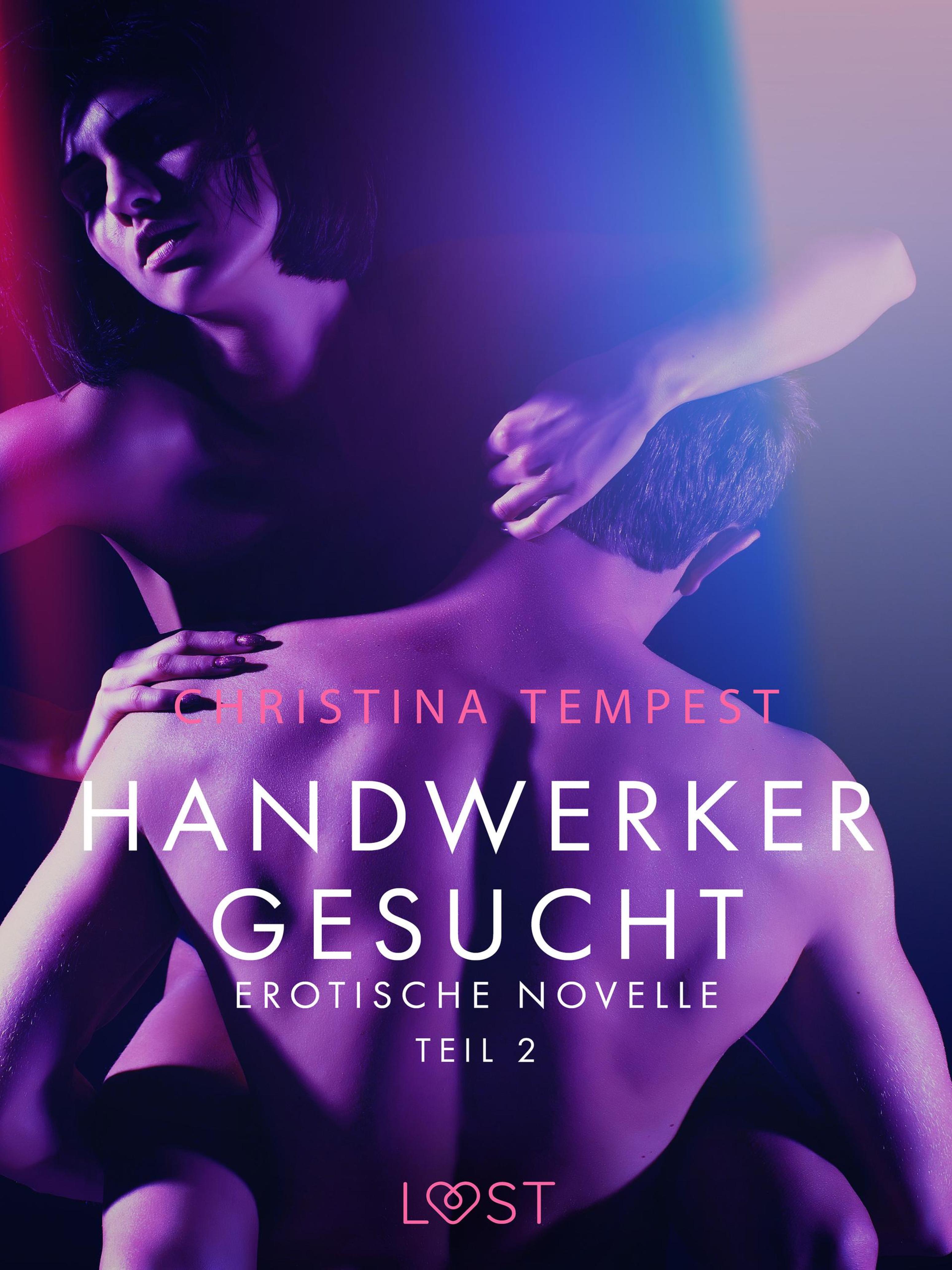 Обложка книги «Handwerker gesucht - Teil 2: Erotische Novelle»