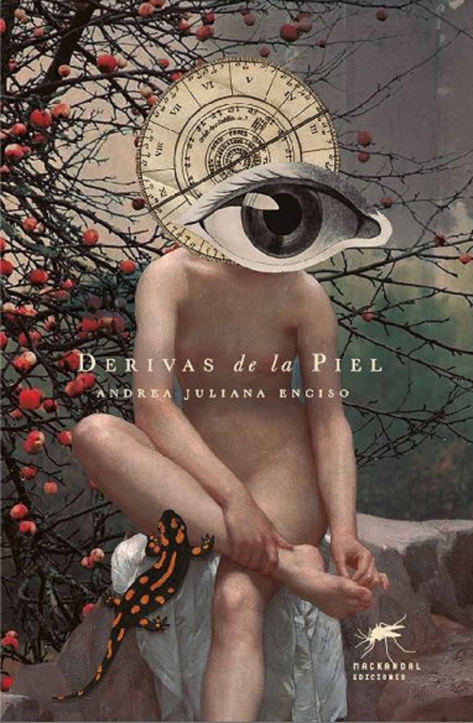 Обложка книги «Derivas de la piel»