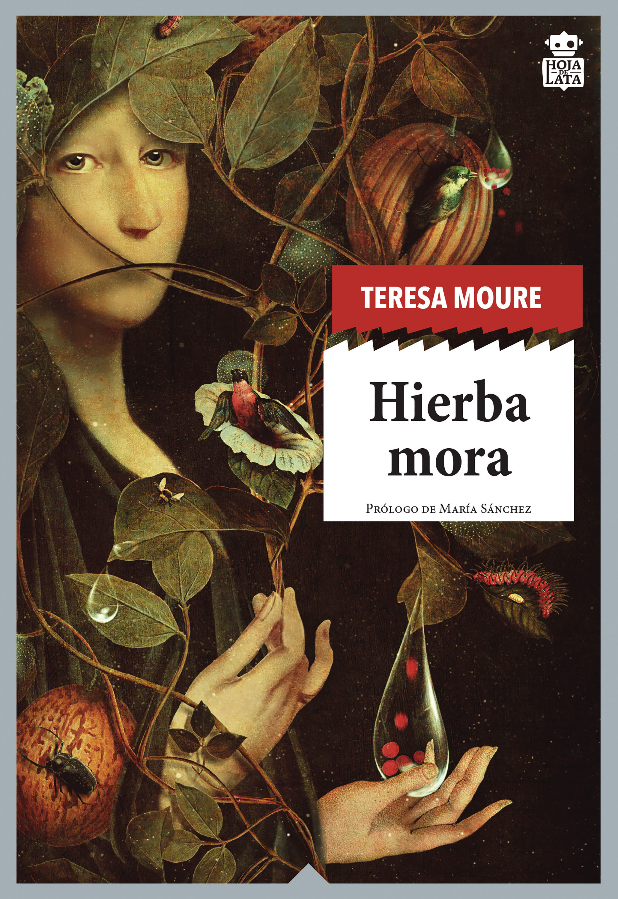 Обложка книги «Hierba mora»