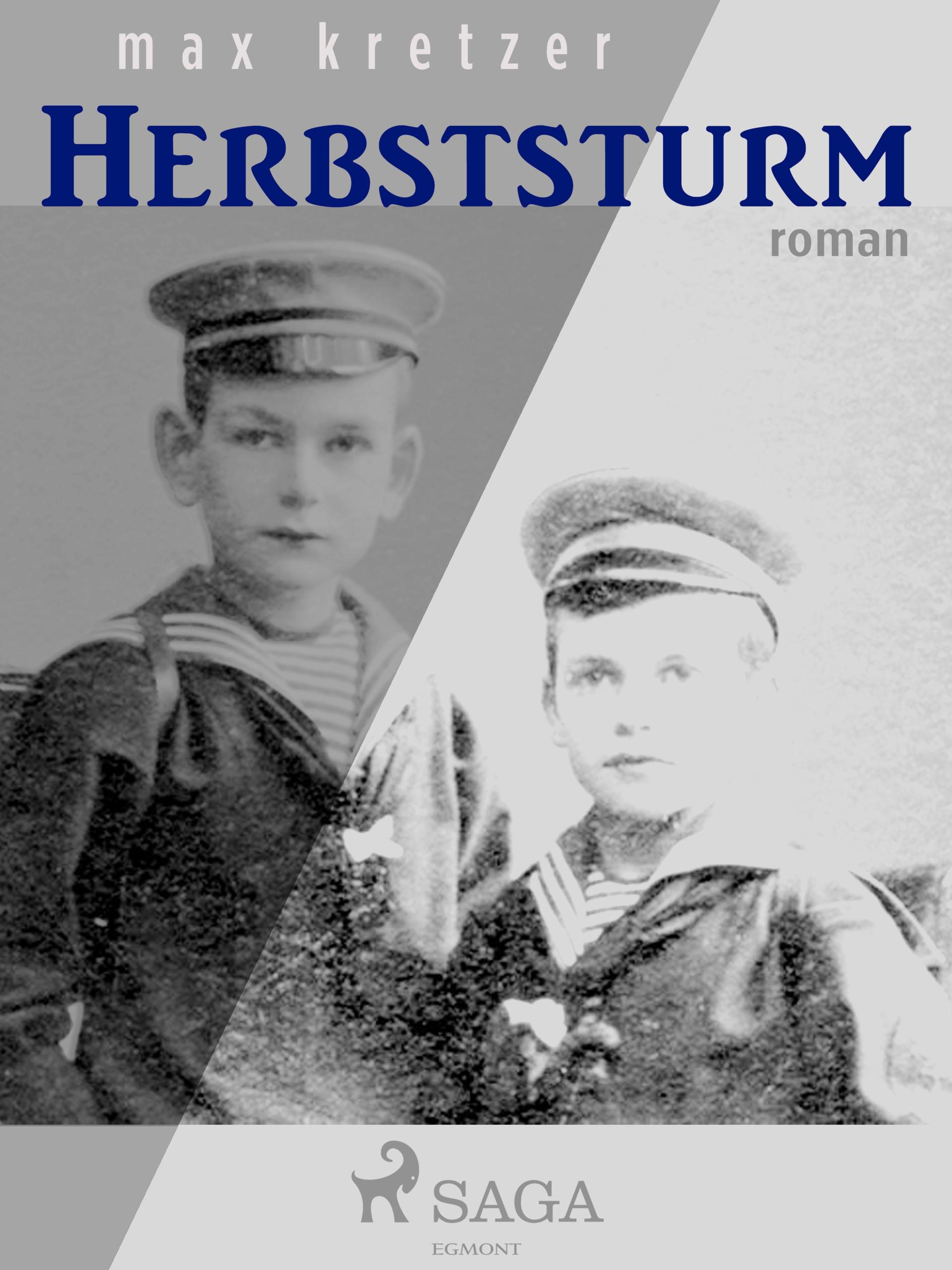 Обложка книги «Herbststurm»