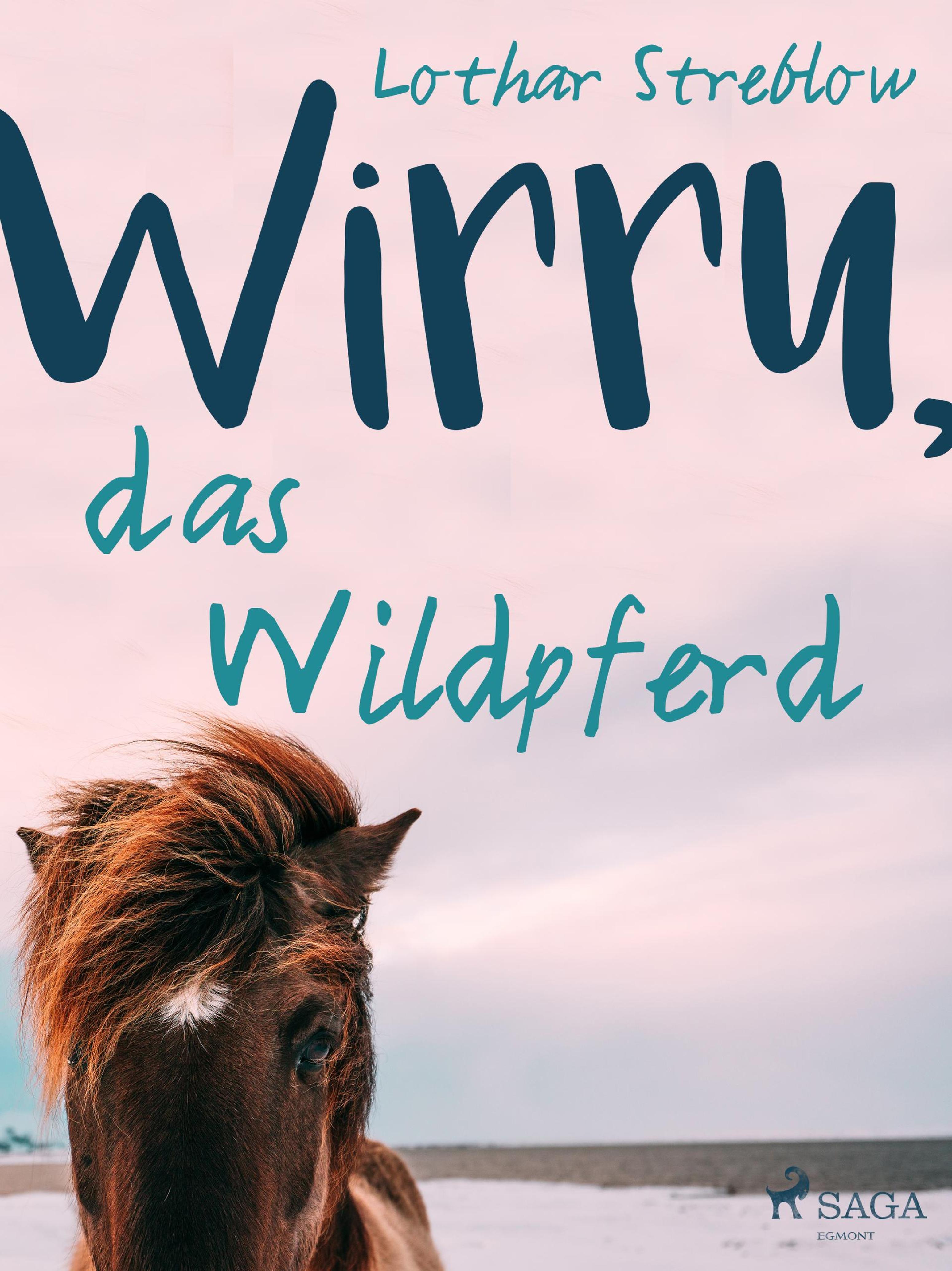 Обложка книги «Wirru, das Wildpferd»