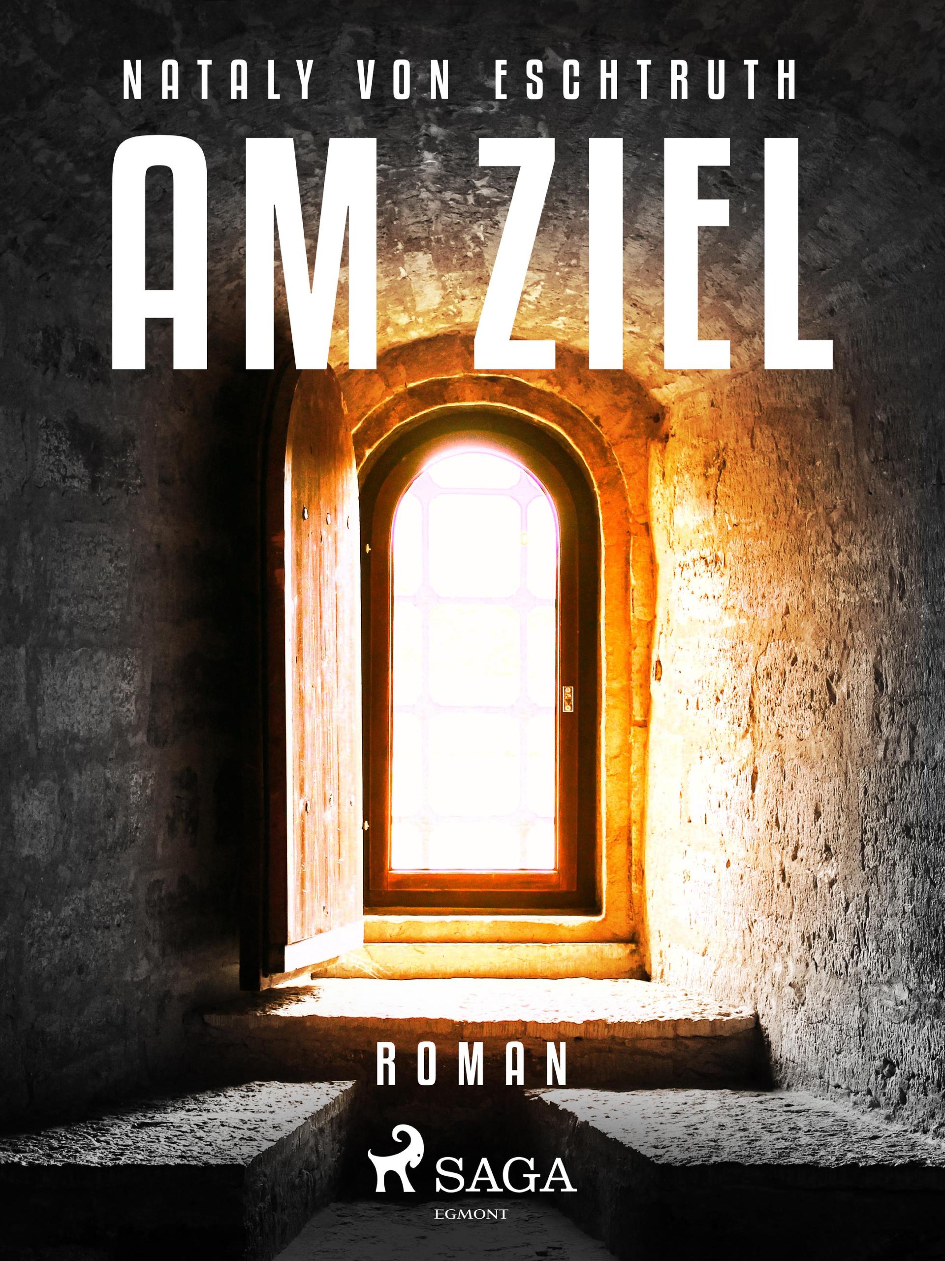 Обложка книги «Am Ziel»