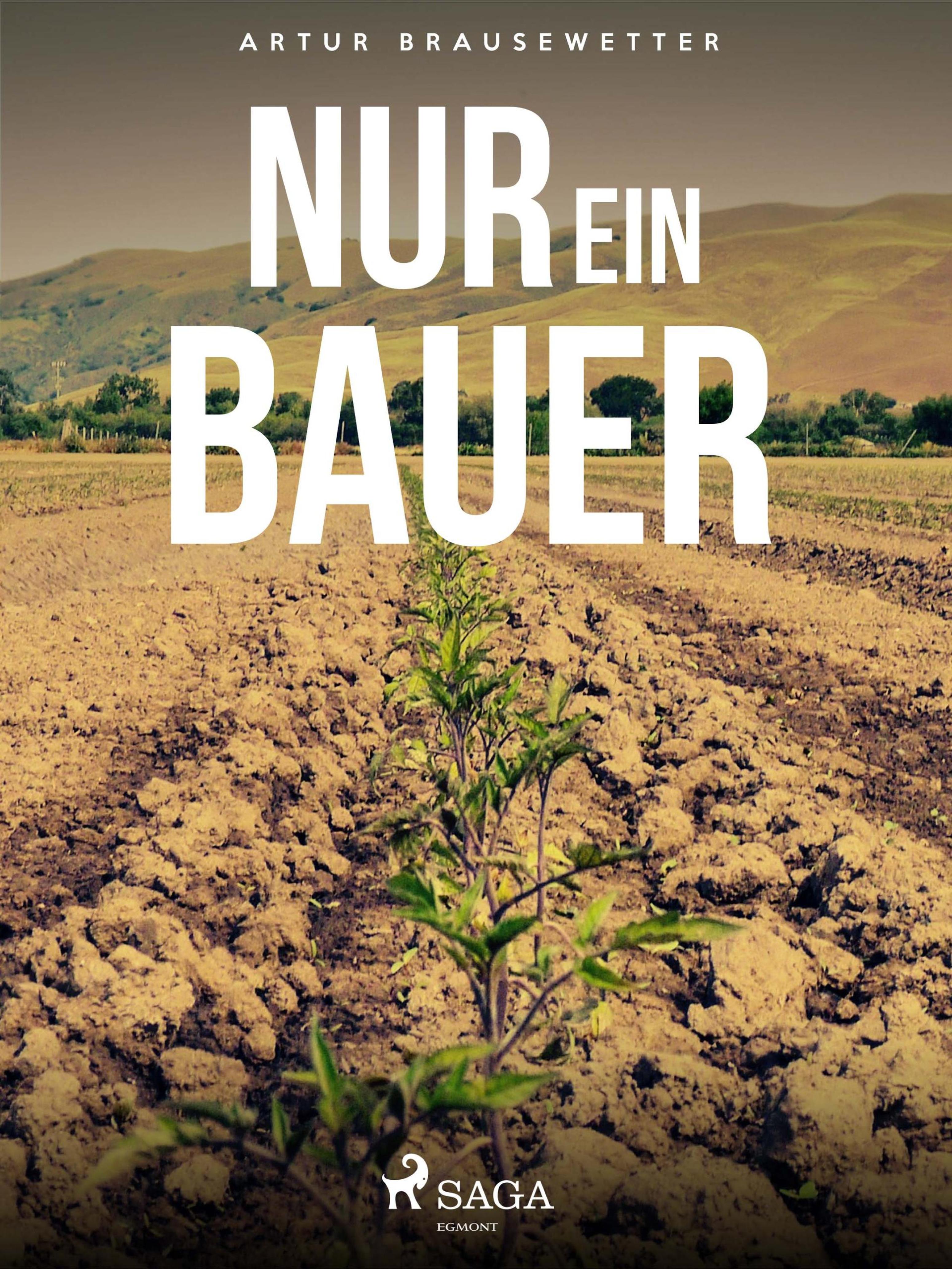 Обложка книги «Nur ein Bauer»