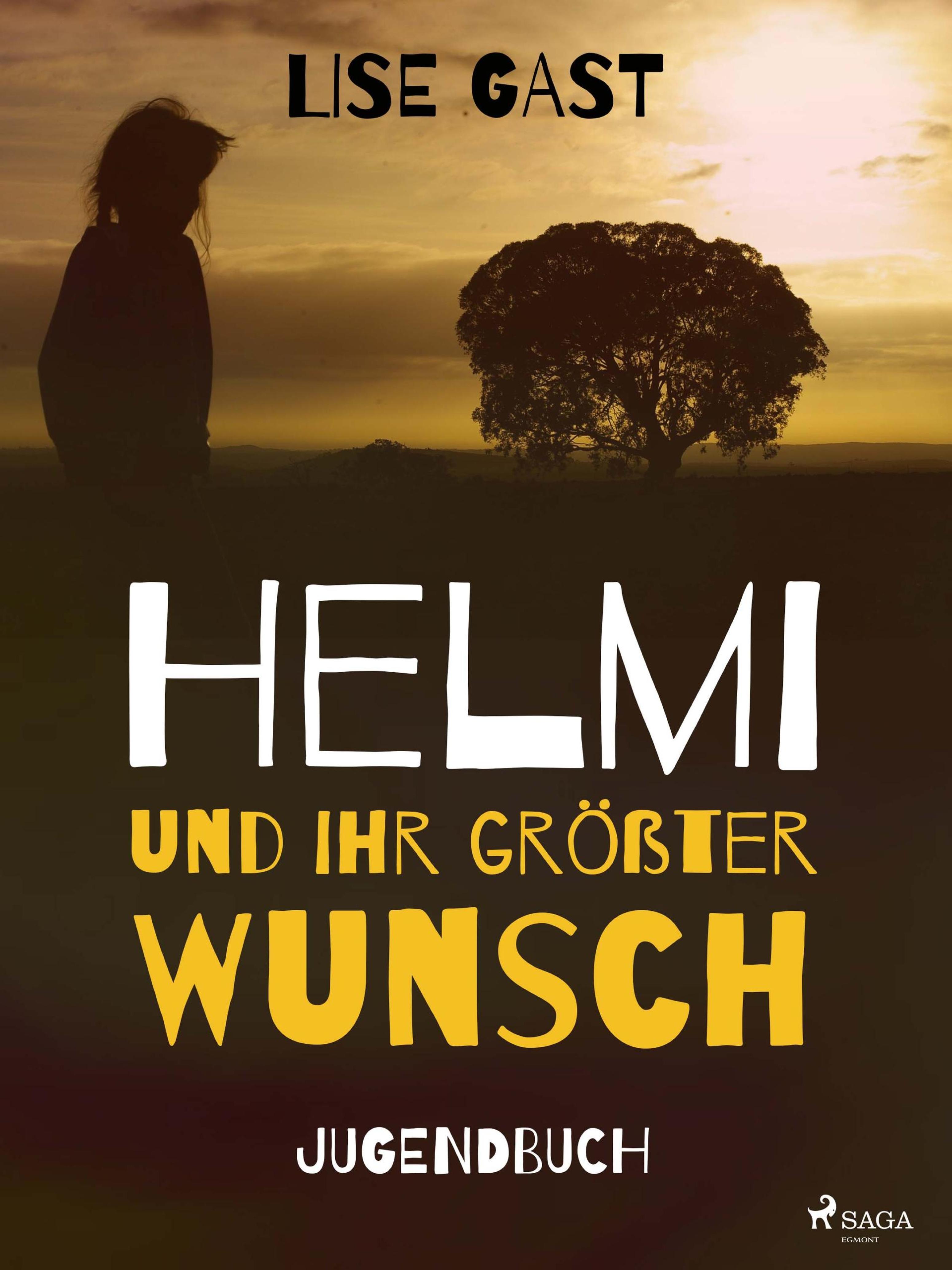 Обложка книги «Helmi und ihr grösster Wunsch»