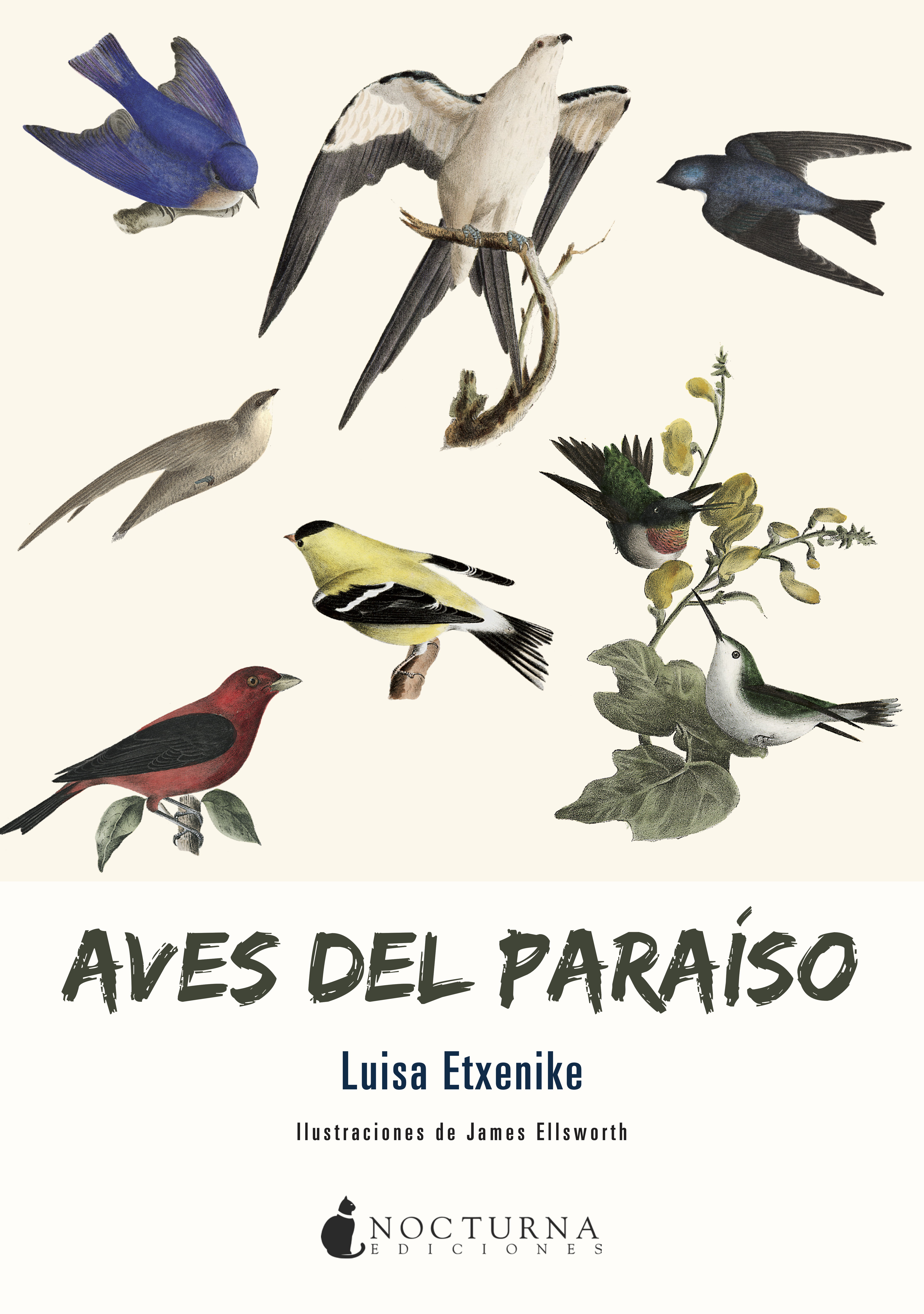 Обложка книги «Aves del paraíso»