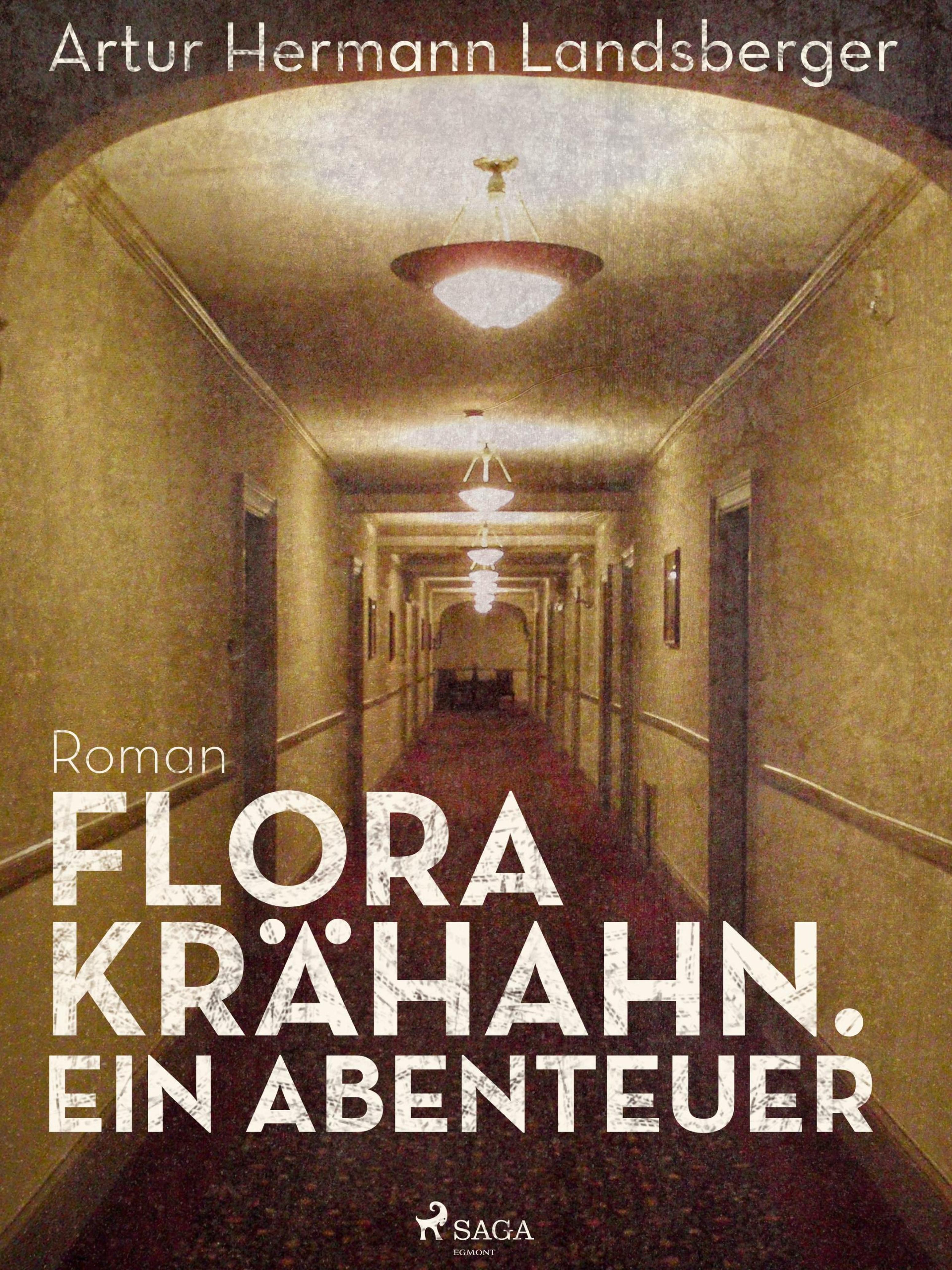 Обложка книги «Flora Krähahn. Ein Abenteuer»