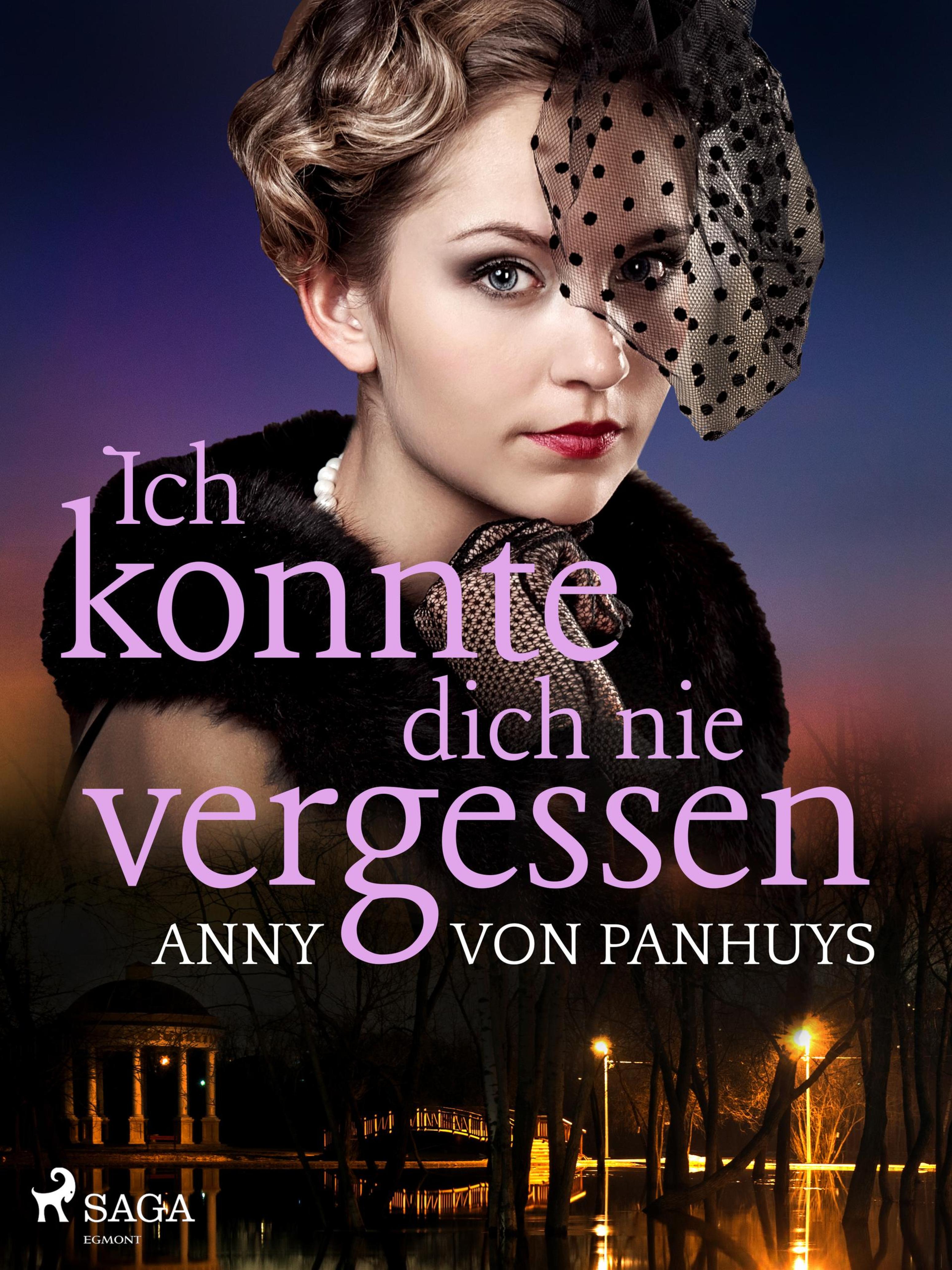 Обложка книги «Ich konnte dich nie vergessen»