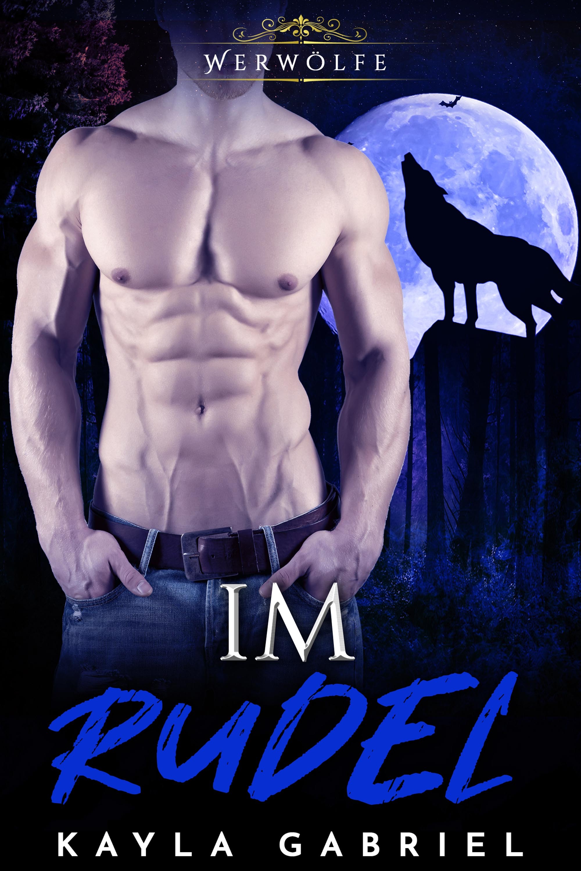 Обложка книги «Im Rudel»