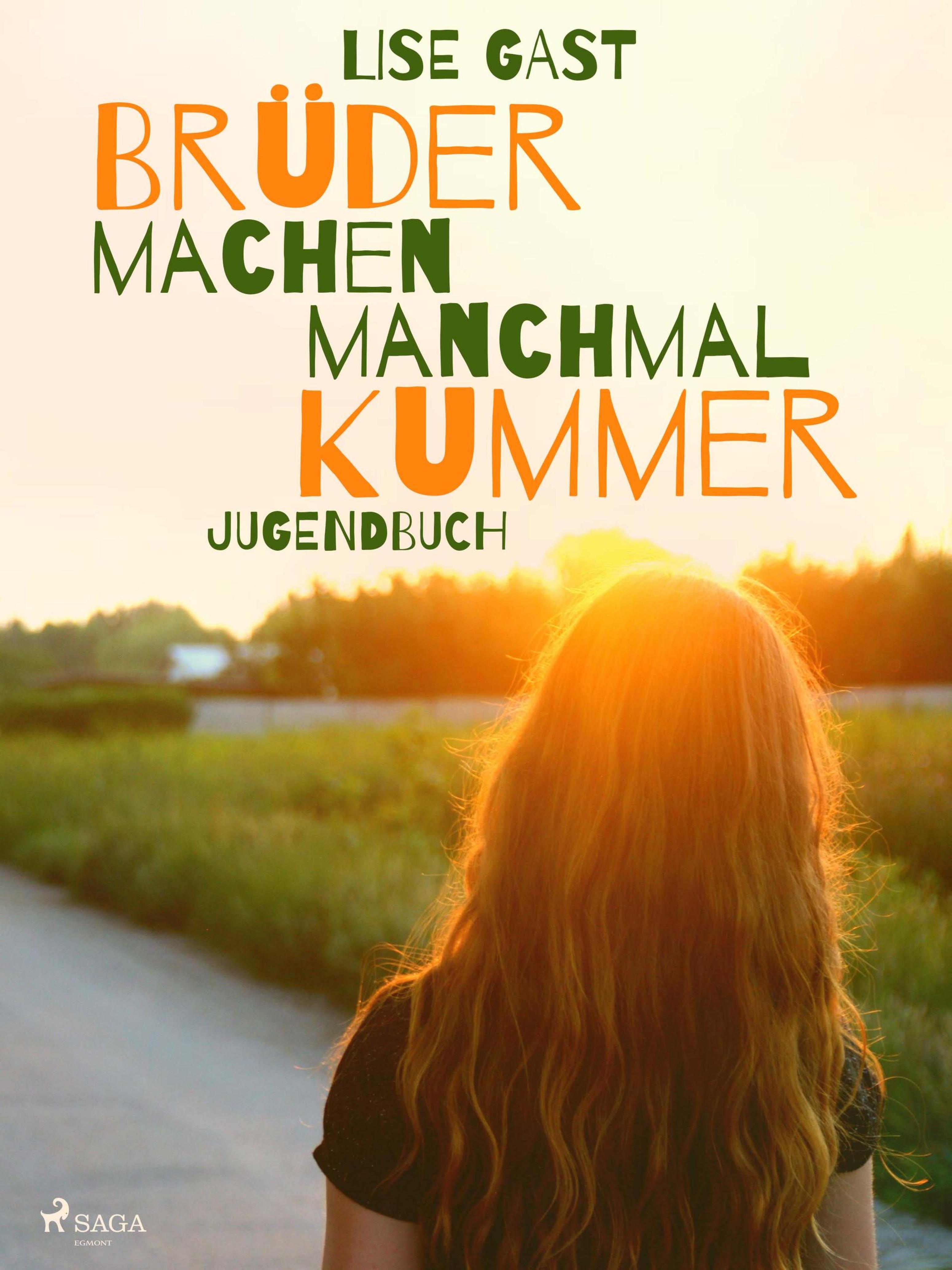 Обложка книги «Brüder machen manchmal Kummer»