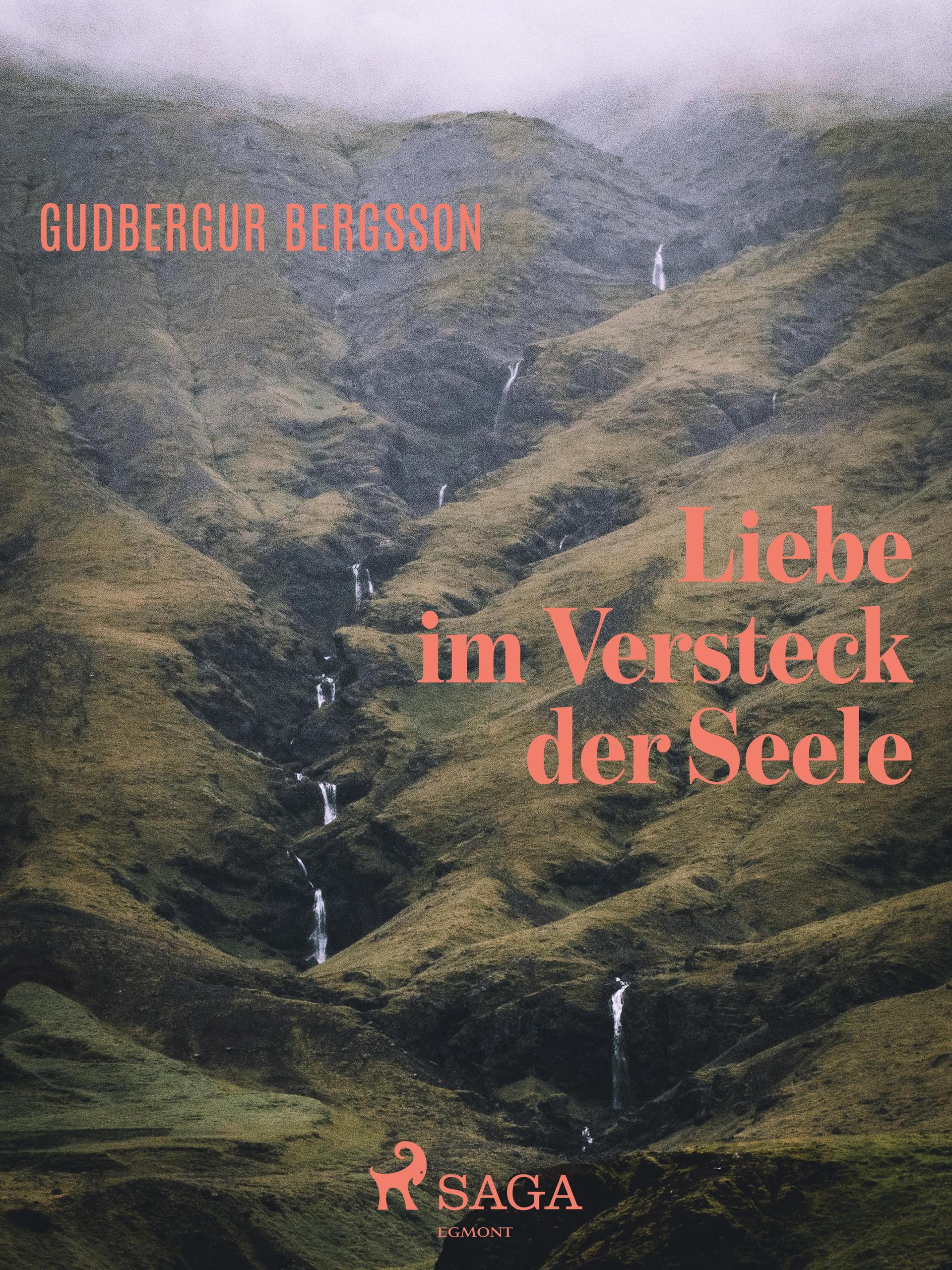 Обложка книги «Liebe im Versteck der Seele»