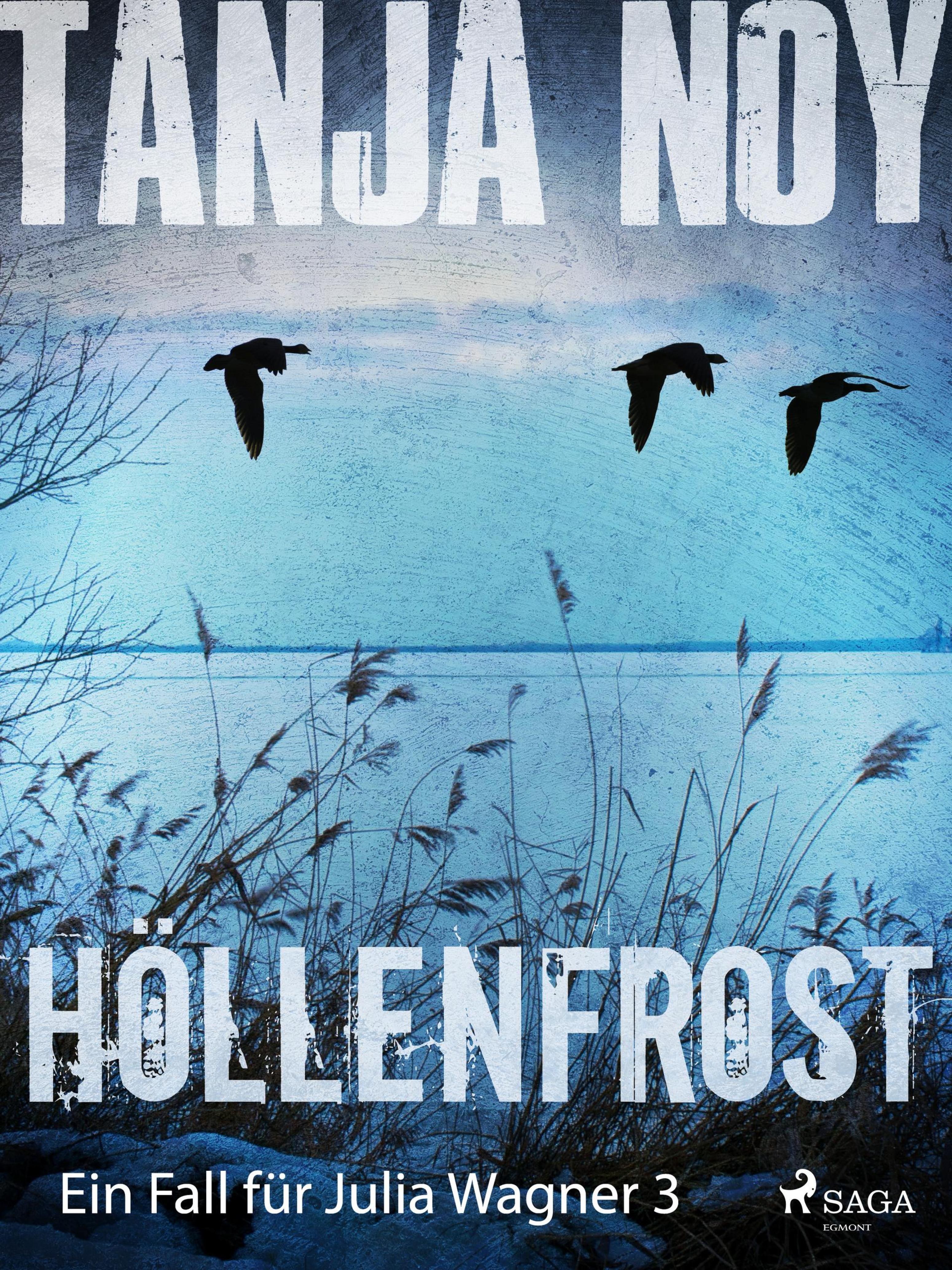 Обложка книги «Höllenfrost - Ein Fall für Julia Wagner: Band 3»