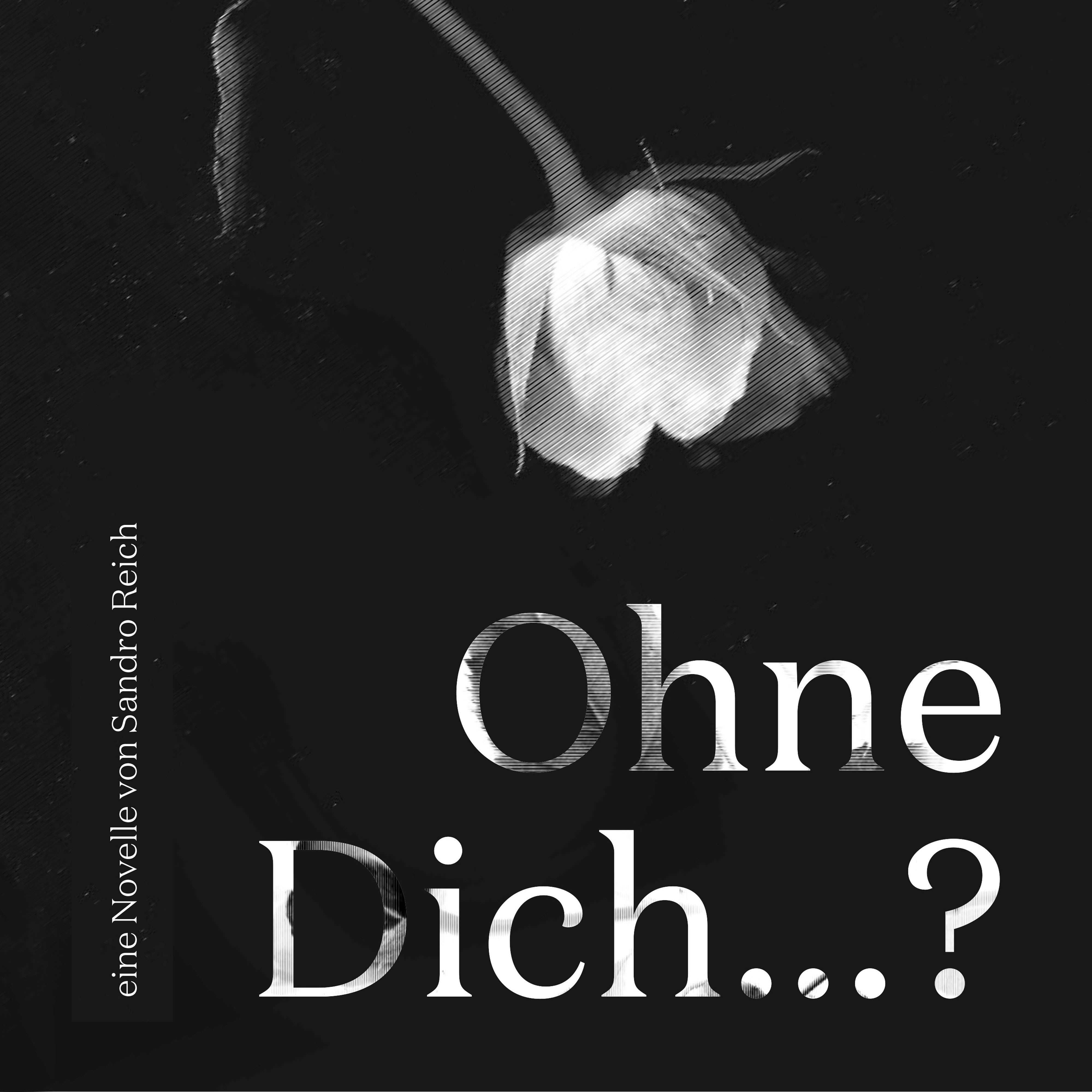 Обложка книги «Ohne dich...?»
