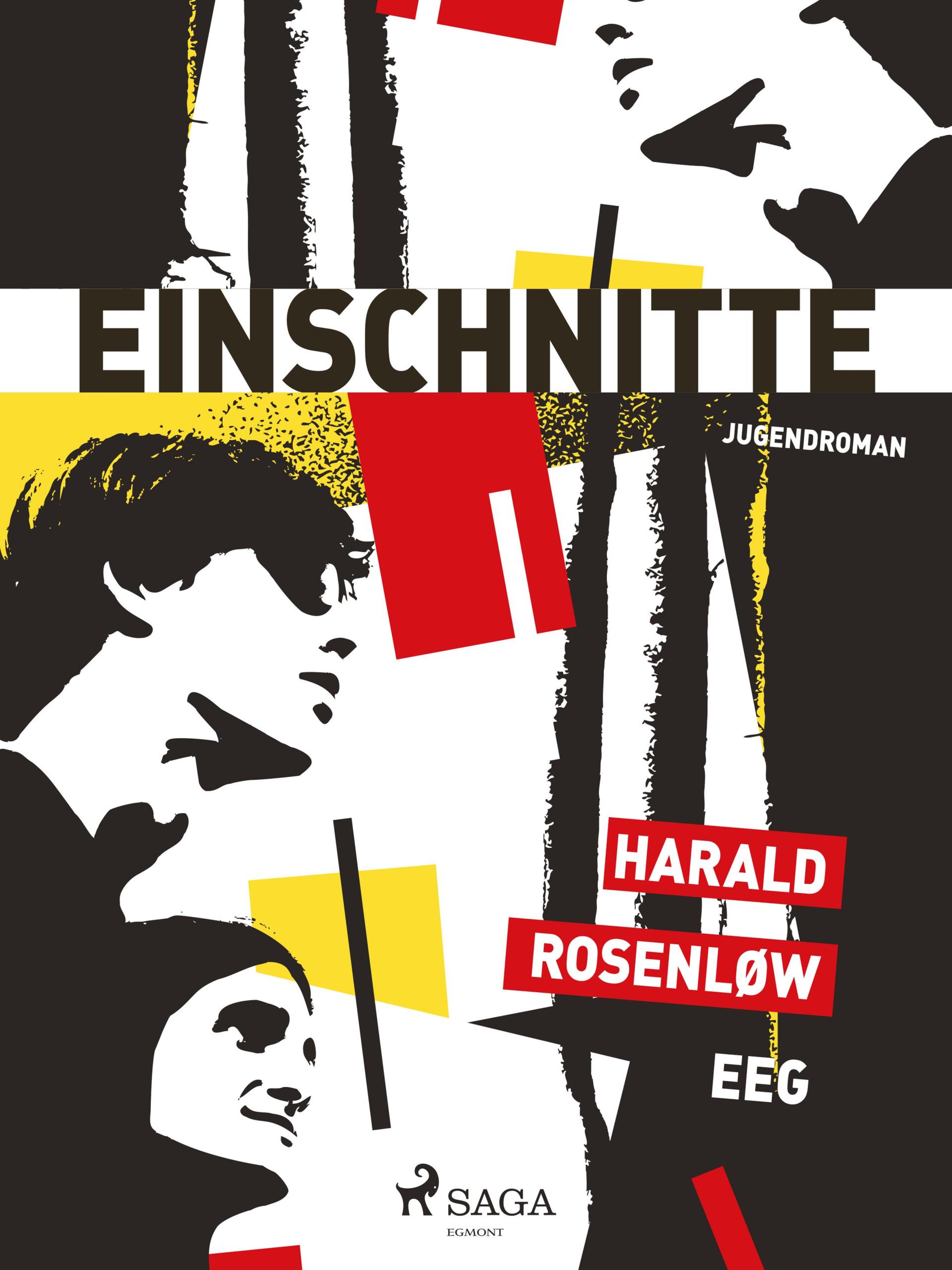 Обложка книги «Einschnitte»