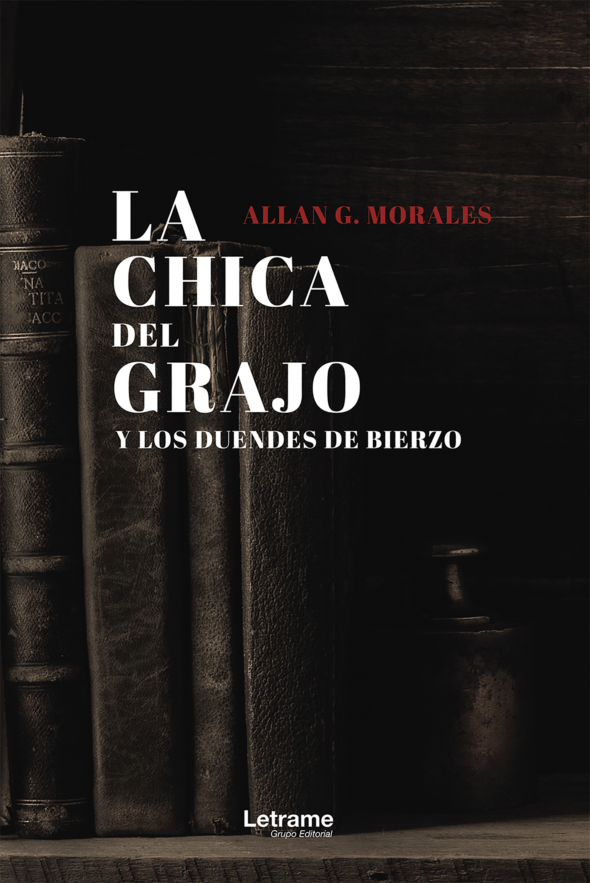 Обложка книги «La chica del grajo y los duendes de Bierzo»