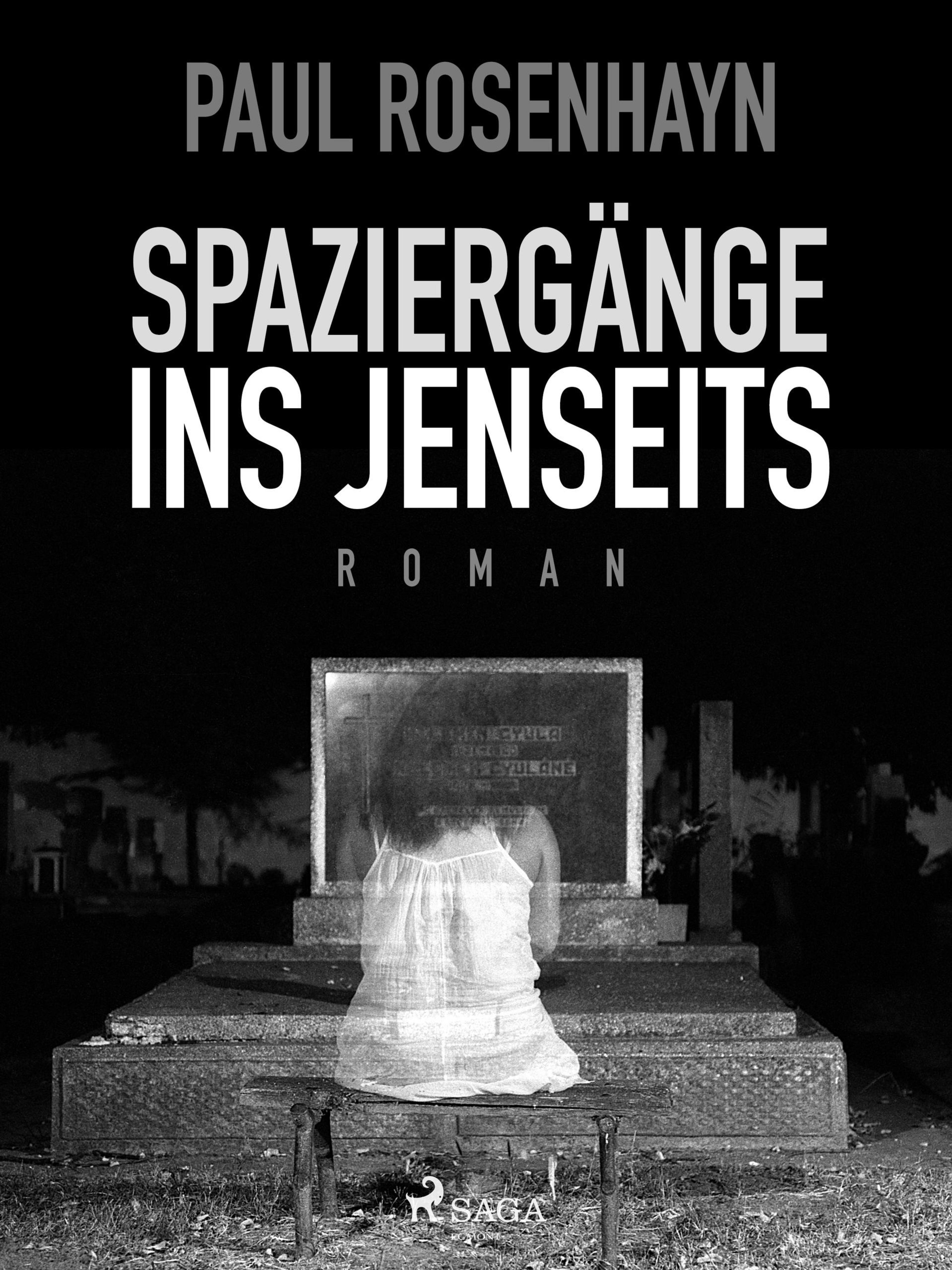 Обложка книги «Spaziergänge ins Jenseits»