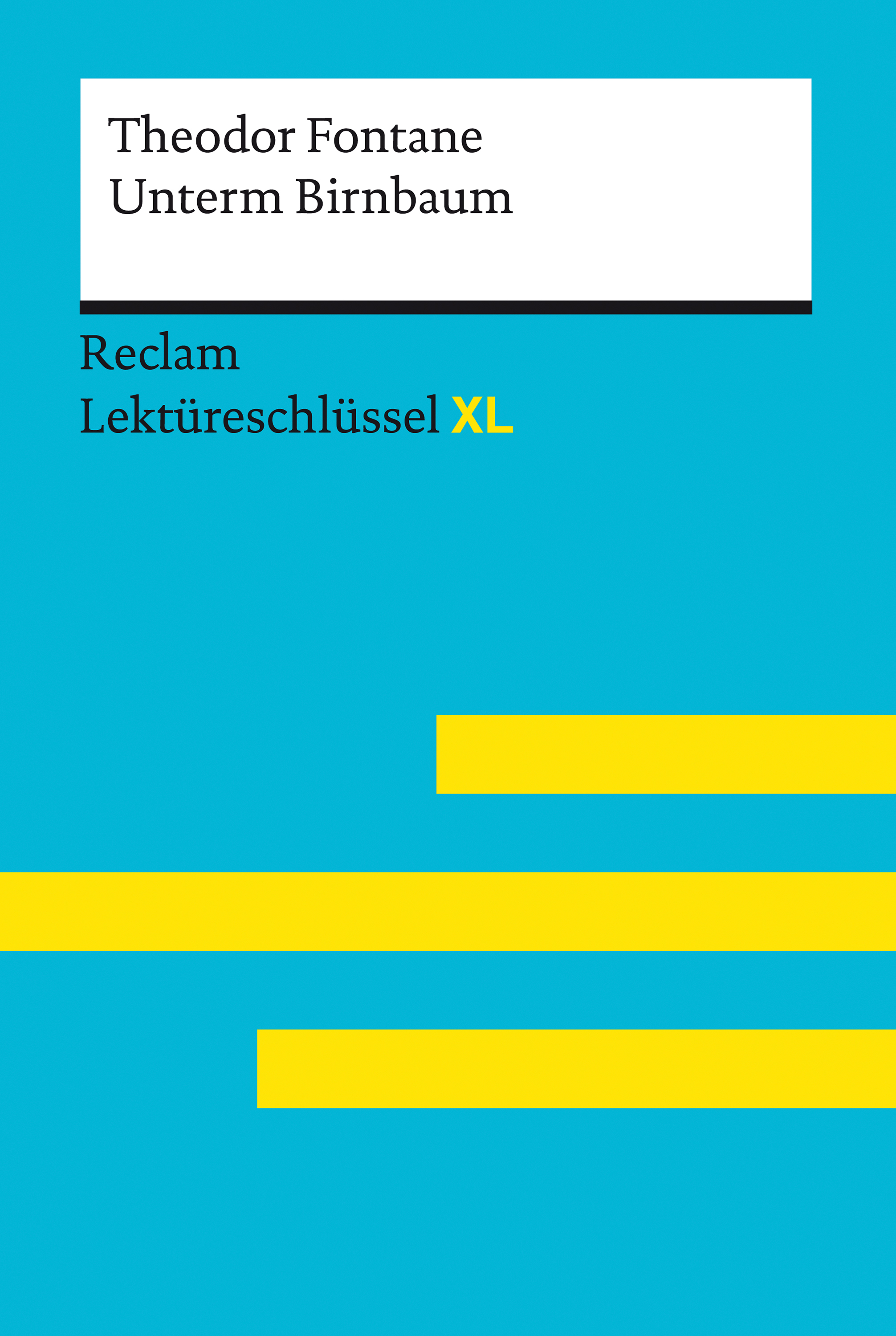 Обложка книги «Unterm Birnbaum von Theodor Fontane: Lektüreschlüssel XL»