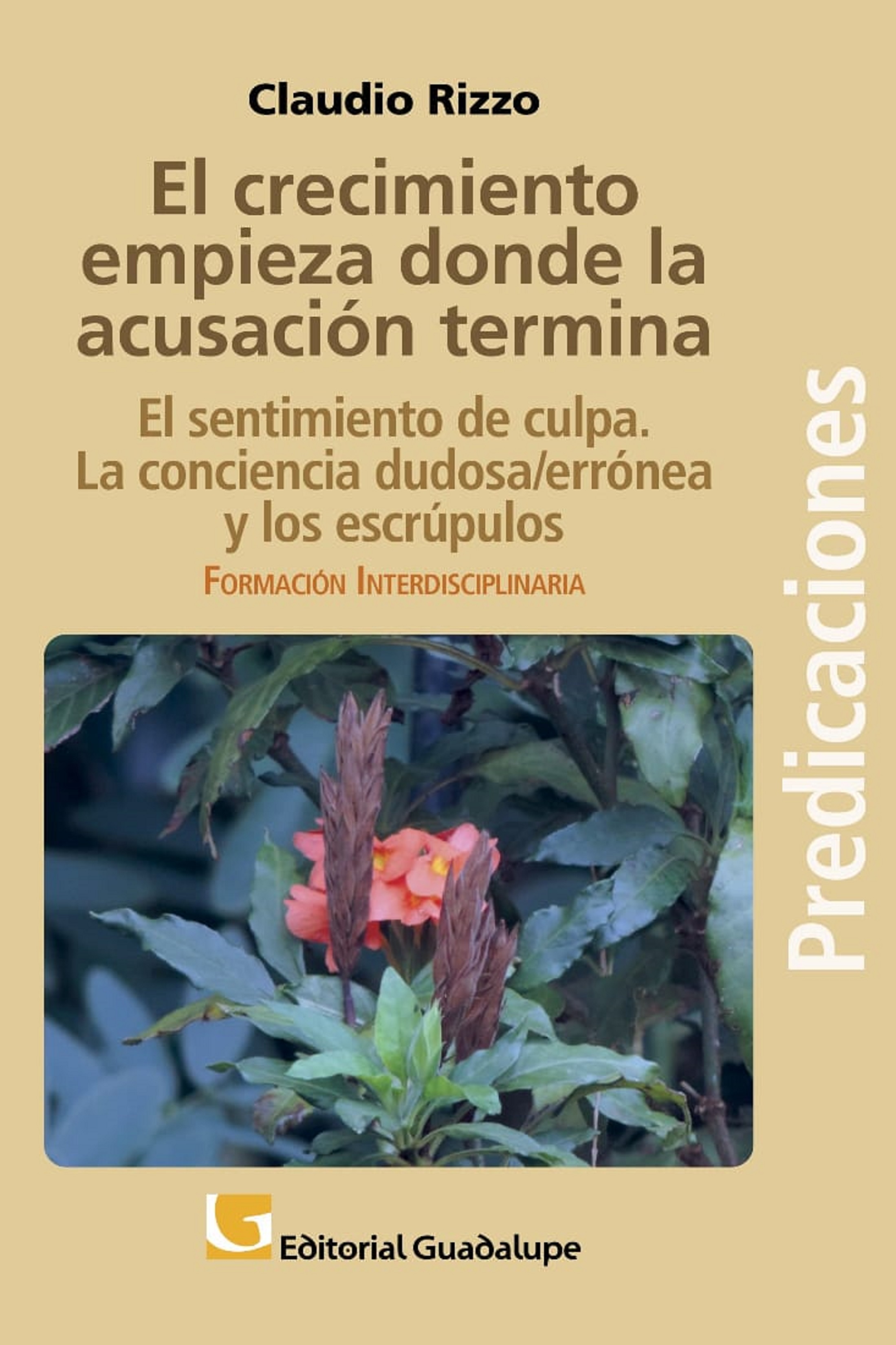 Обложка книги «El crecimiento empieza donde la acusación termina»