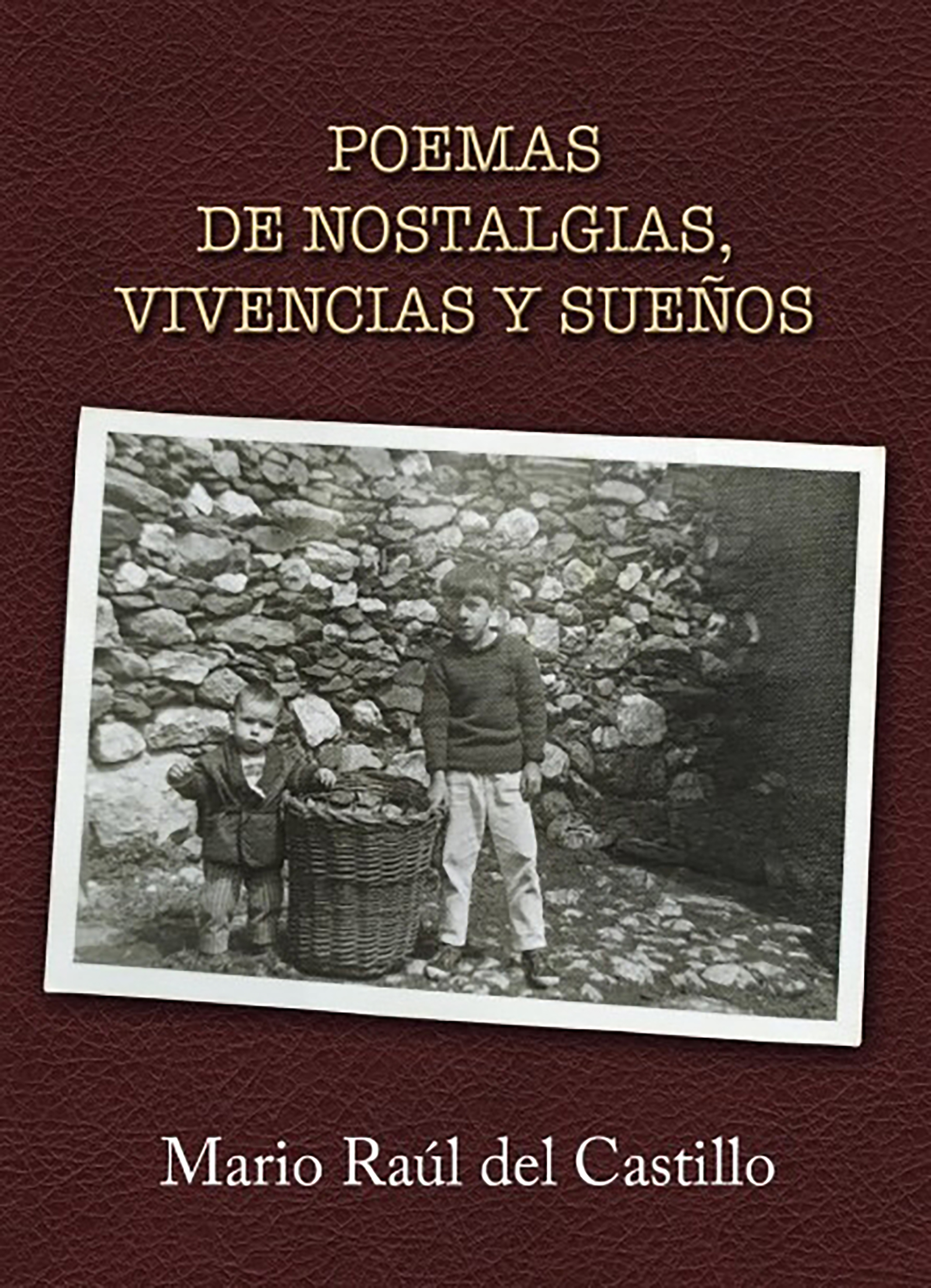 Обложка книги «Poemas de nostalgias, vivencias y sueños»