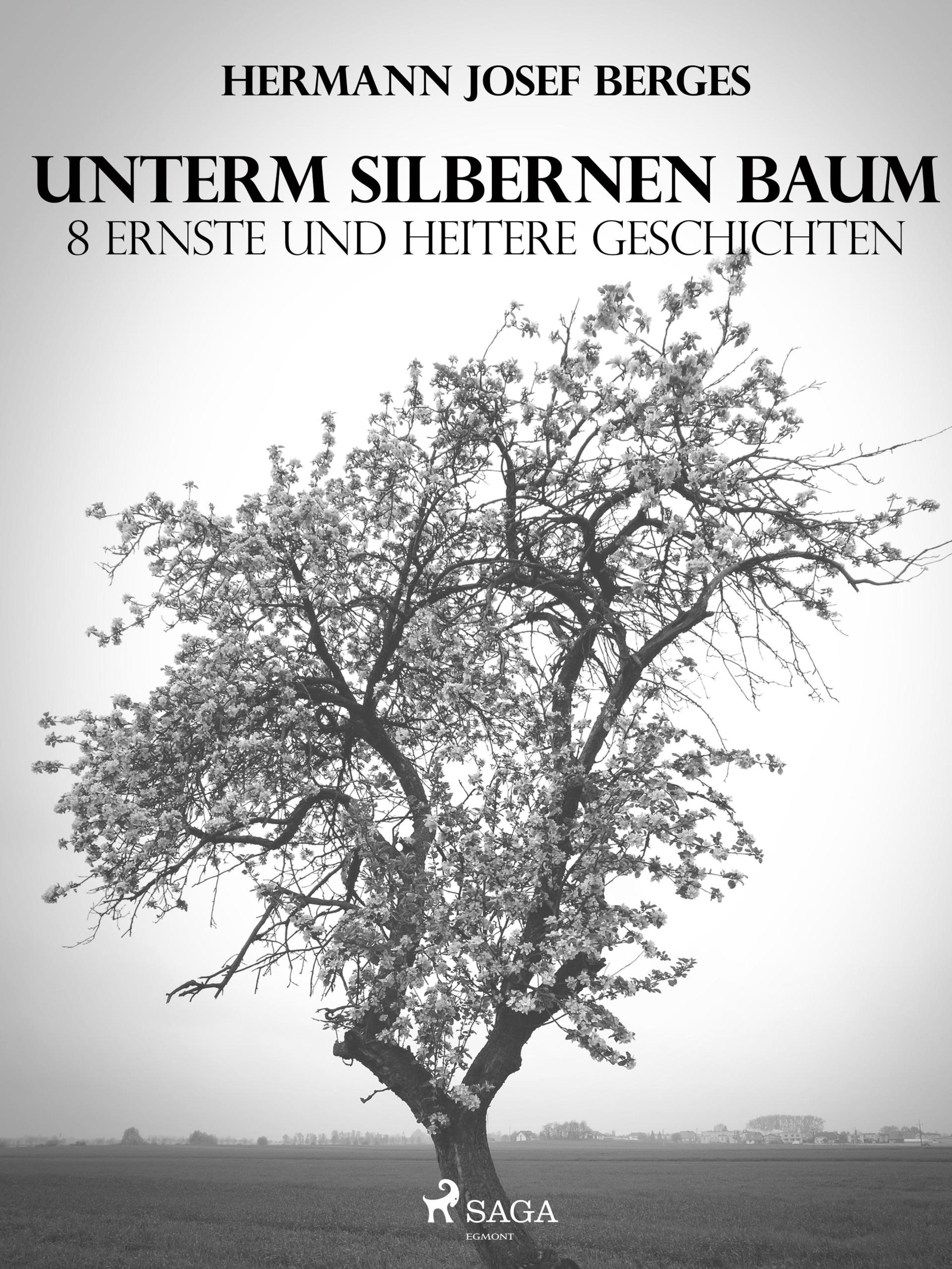 Обложка книги «Unterm silbernen Baum. 8 ernste und heitere Geschichten»