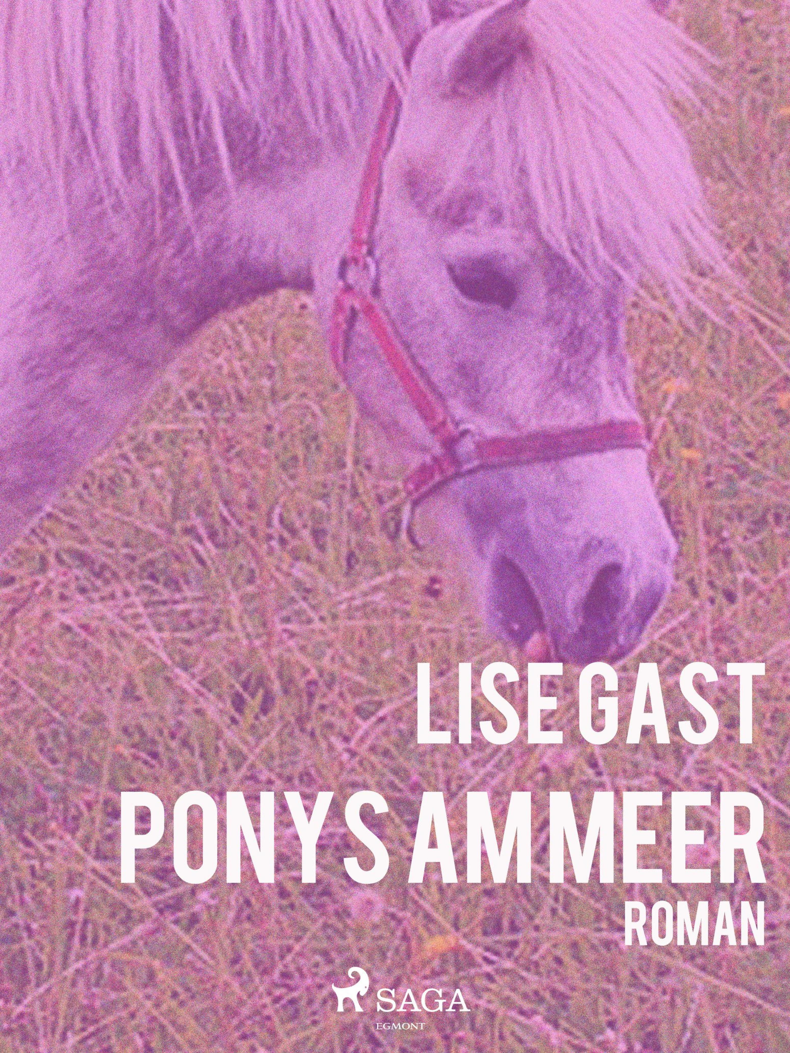 Обложка книги «Ponys am Meer»