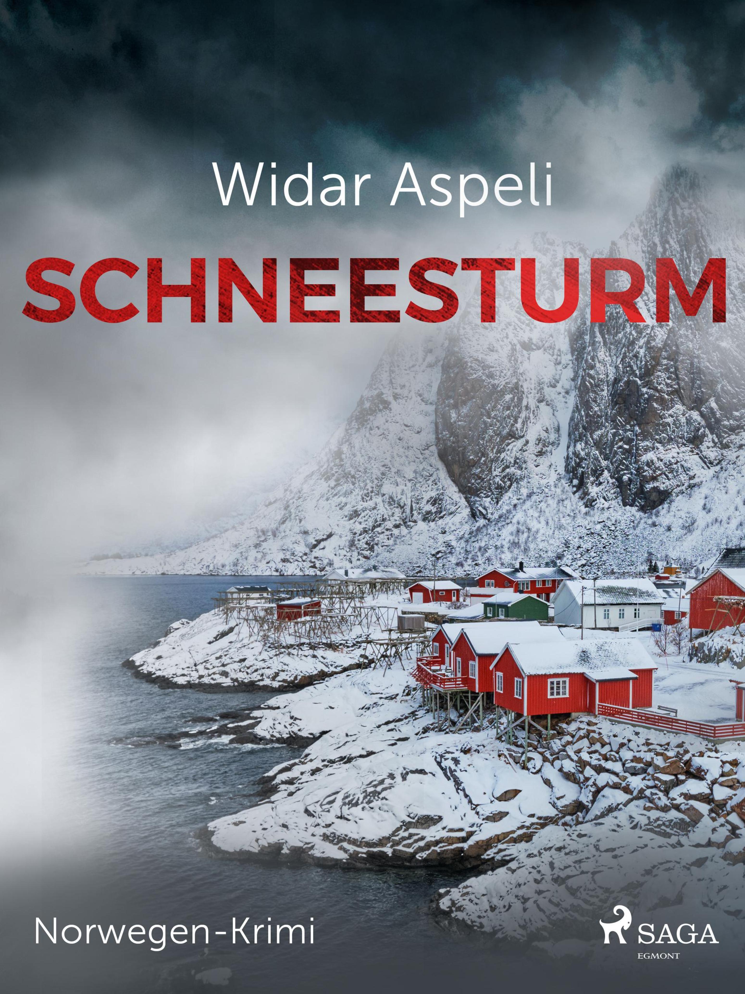 Обложка книги «Schneesturm - Norwegen-Krimi»