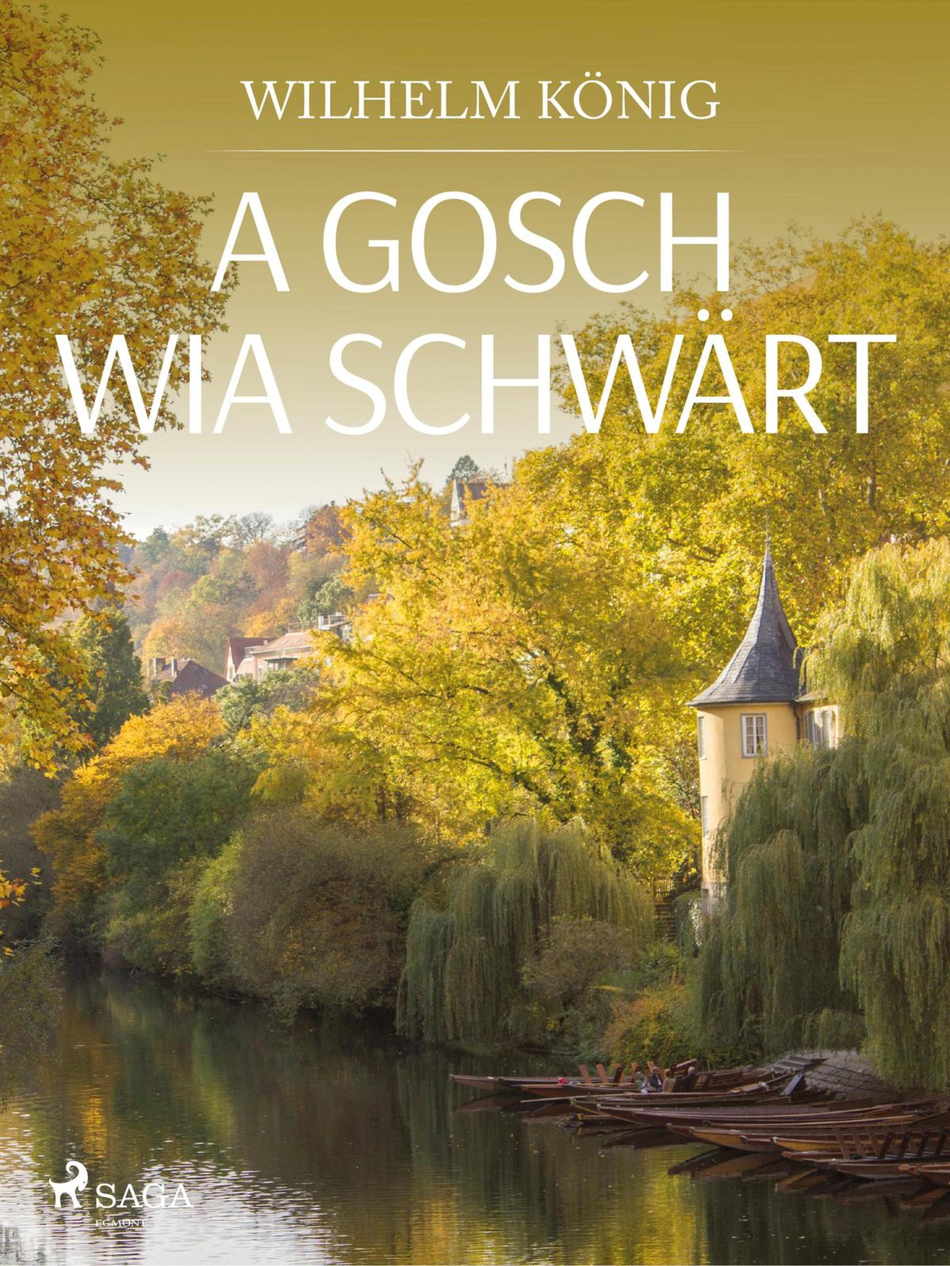 Обложка книги «A Gosch wia schwärt»