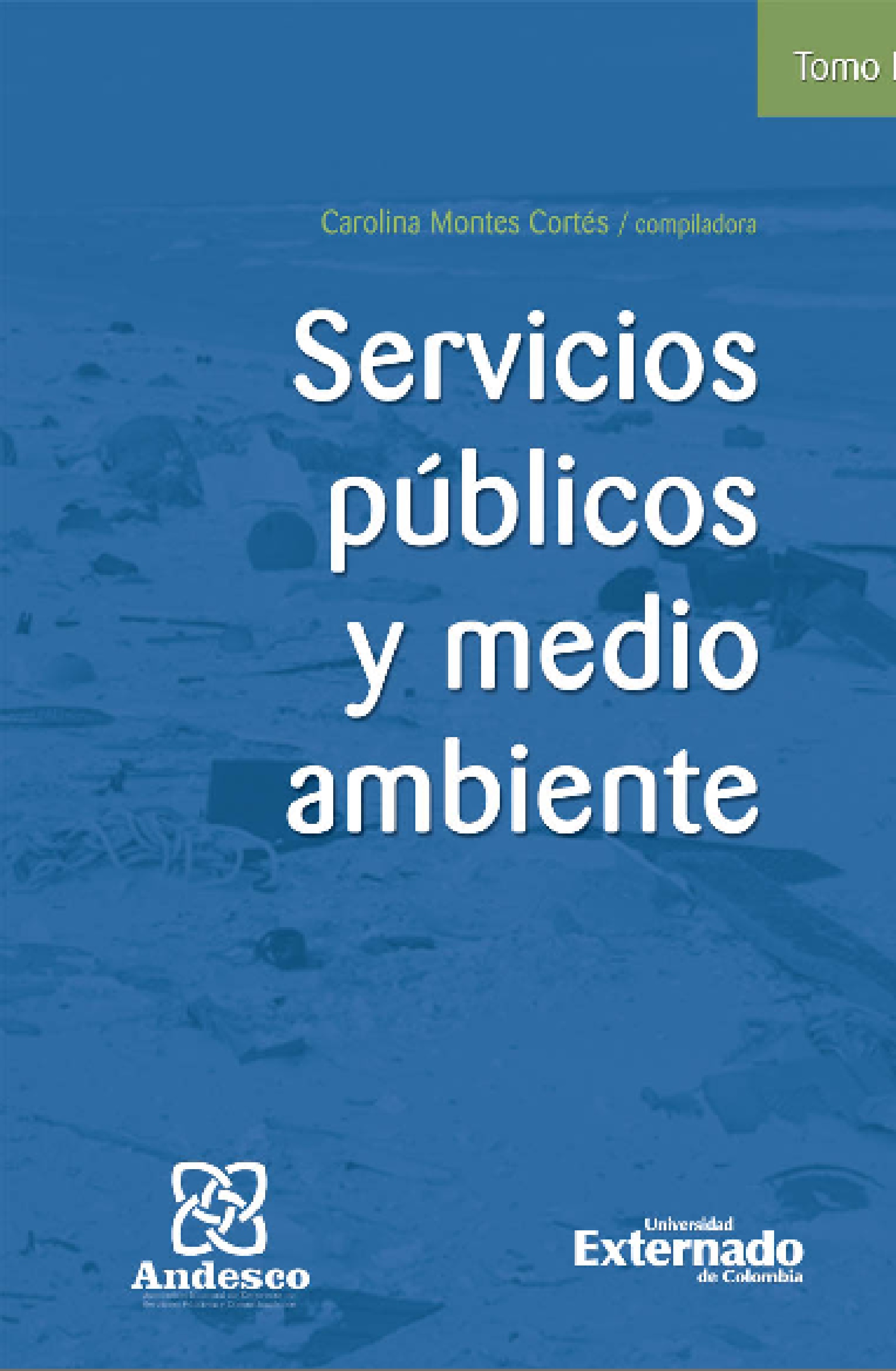 Обложка книги «Servicios públicos y medio ambiente Tomo IV»