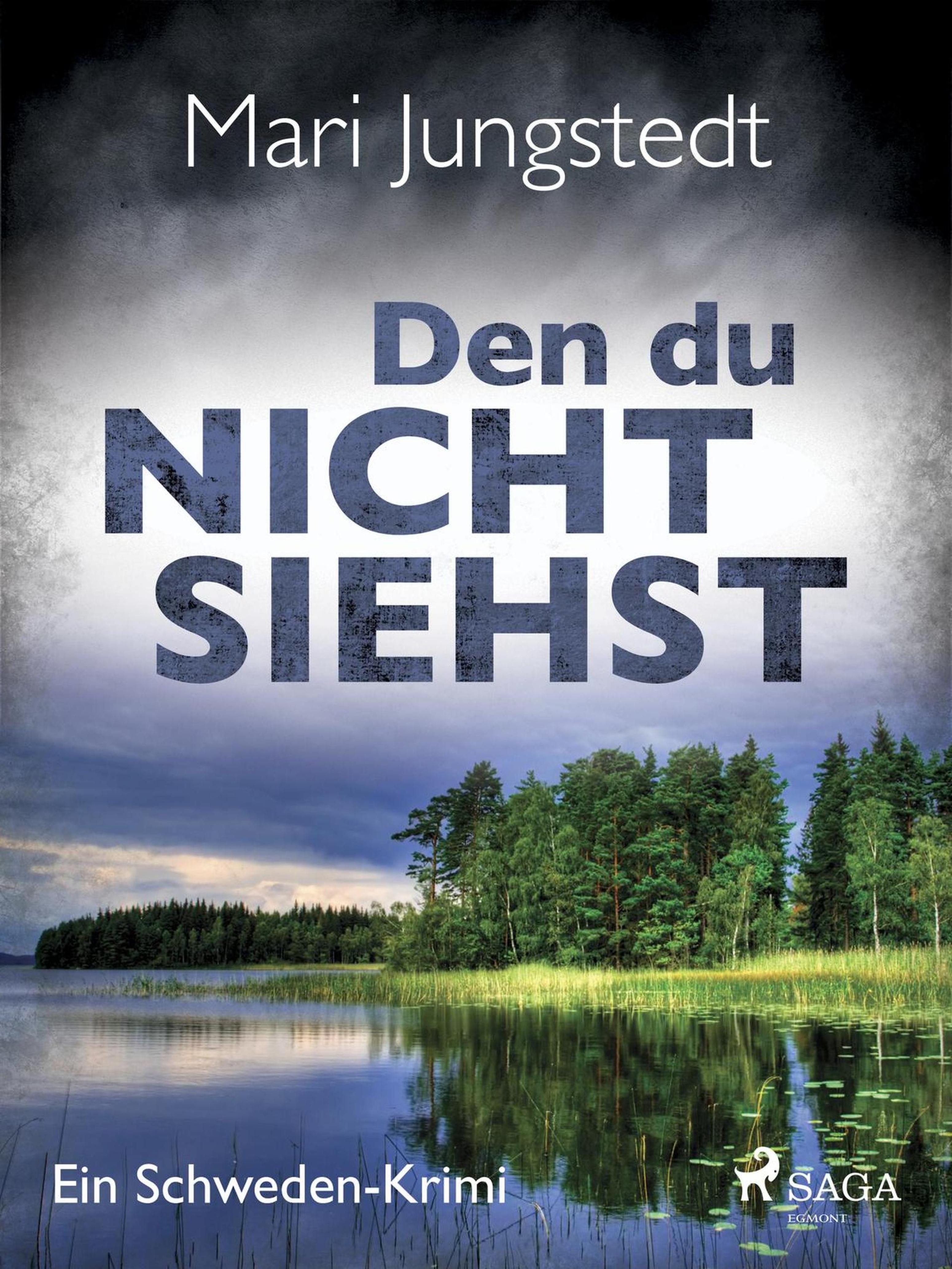 Обложка книги «Den du nicht siehst - Ein Schweden-Krimi»