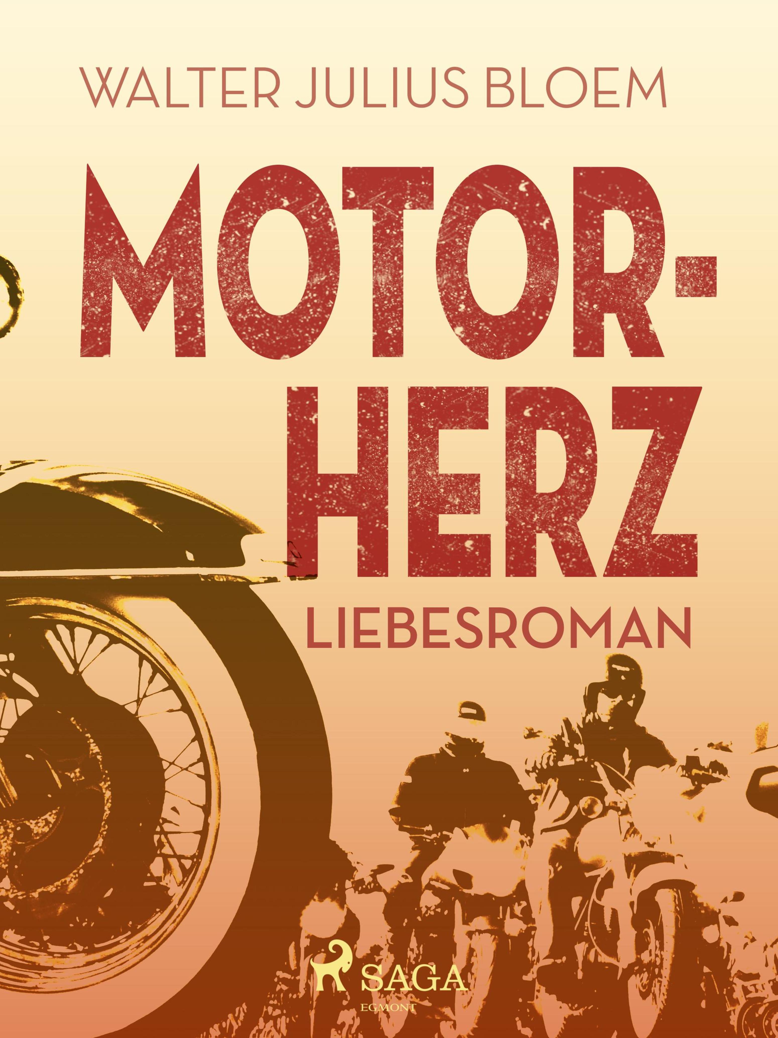 Обложка книги «Motorherz»